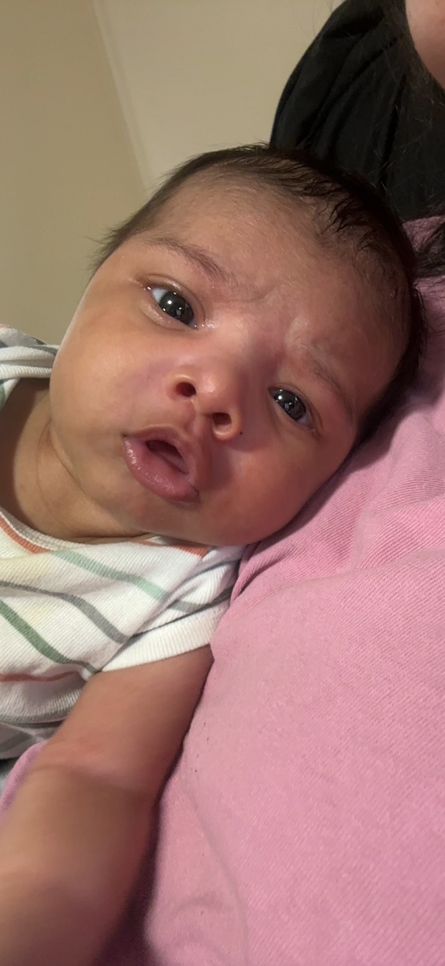 Honoring Baby Kaizen: Support Our Farewell campaign photo, 4 of 8