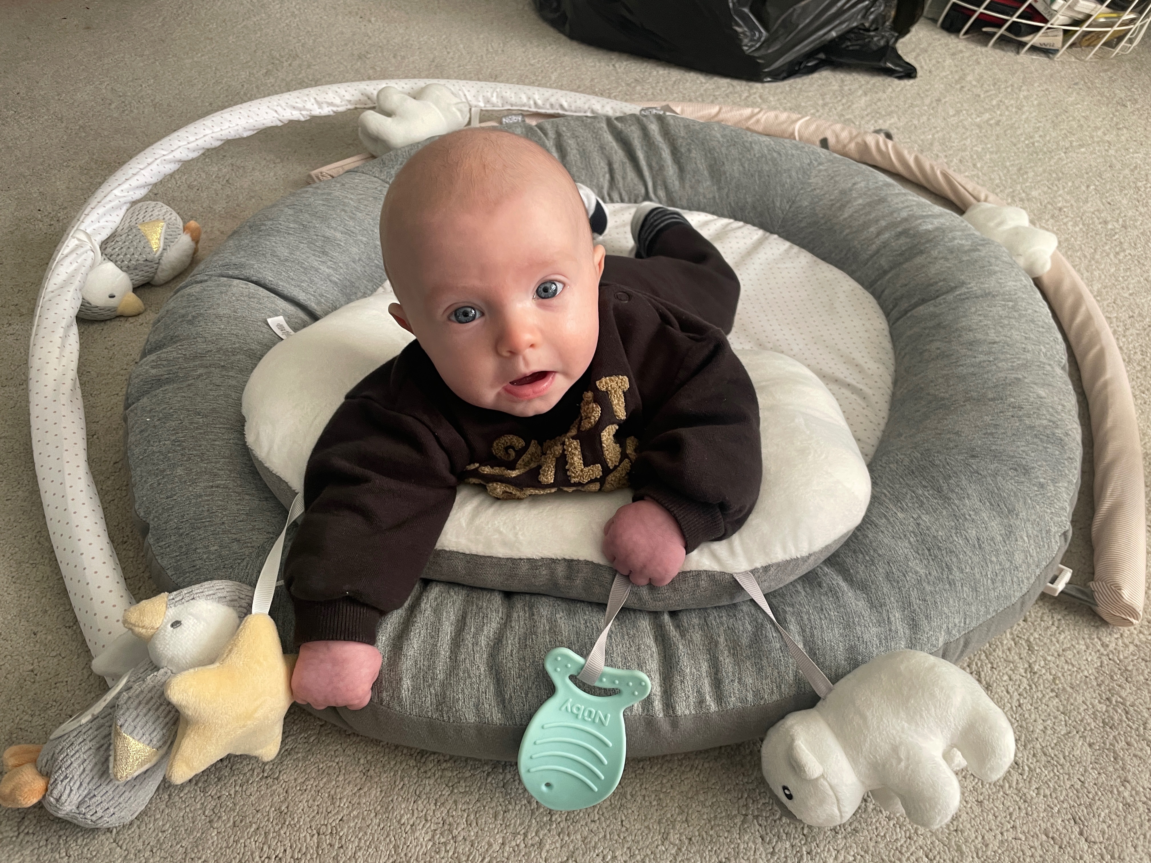 User-uploaded image 1