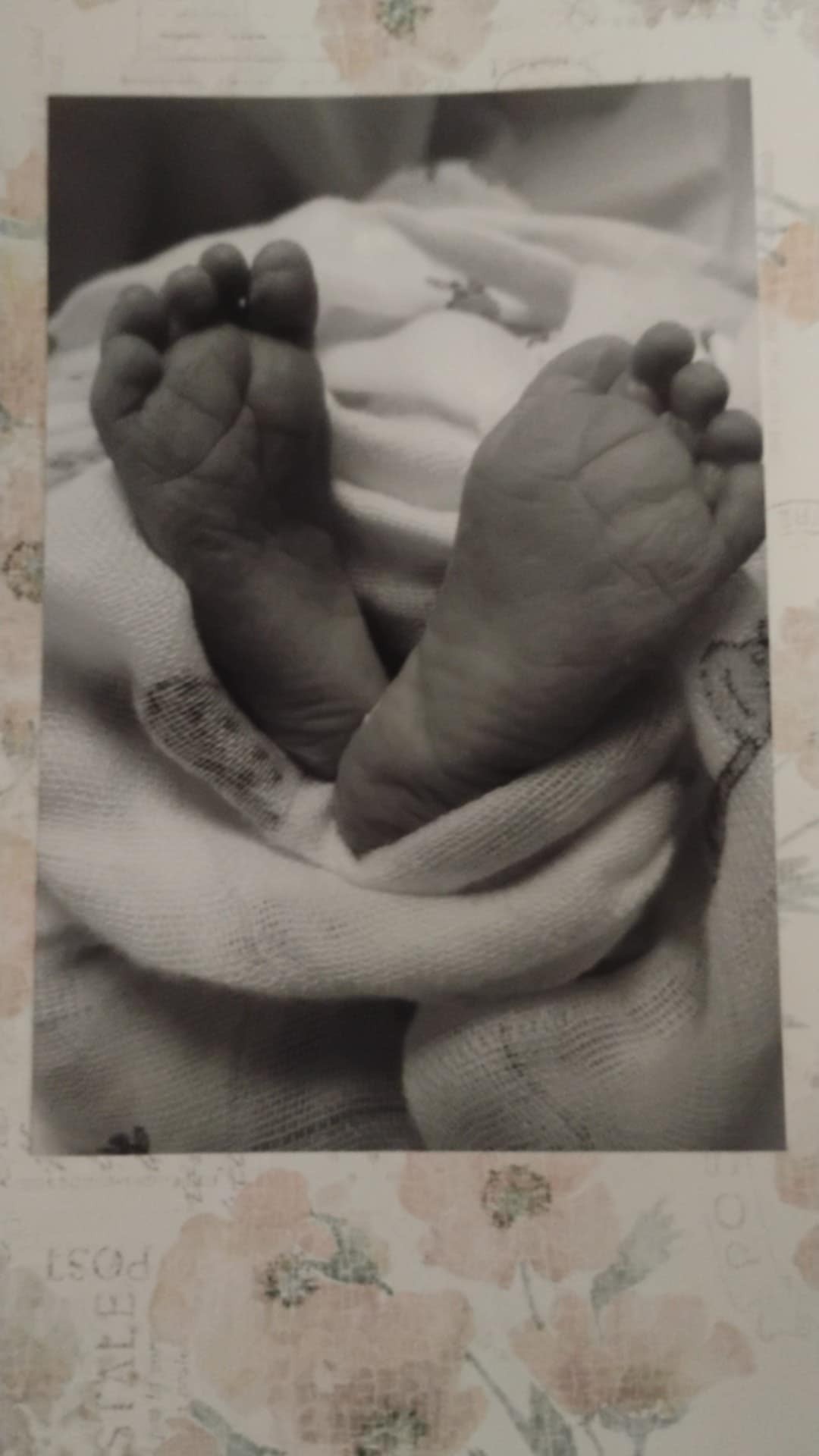 Support Alayah's Final Journey campaign photo, 2 of 4