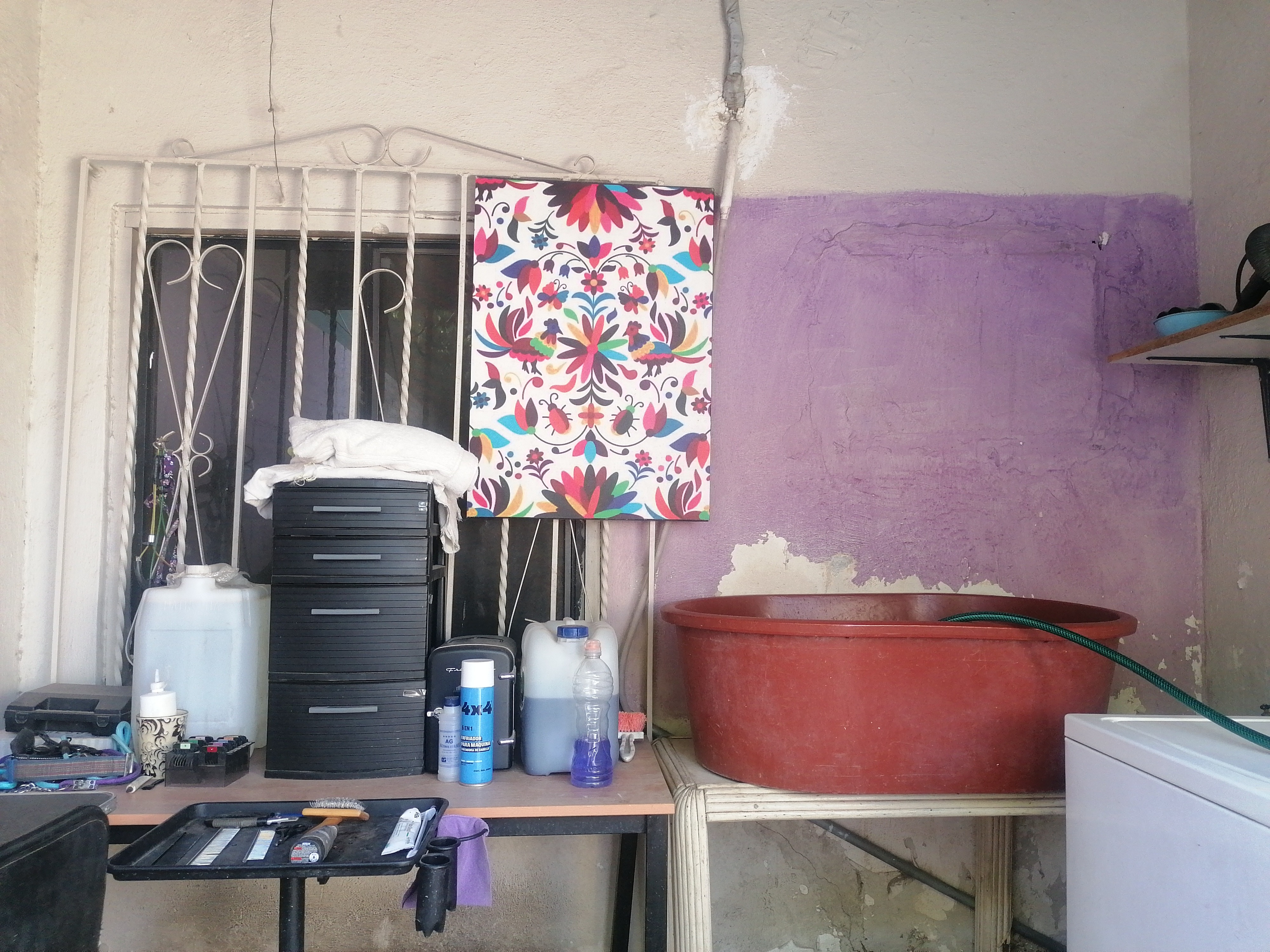 Reconstruir POSH PET SPA campaign photo, 7 of 8