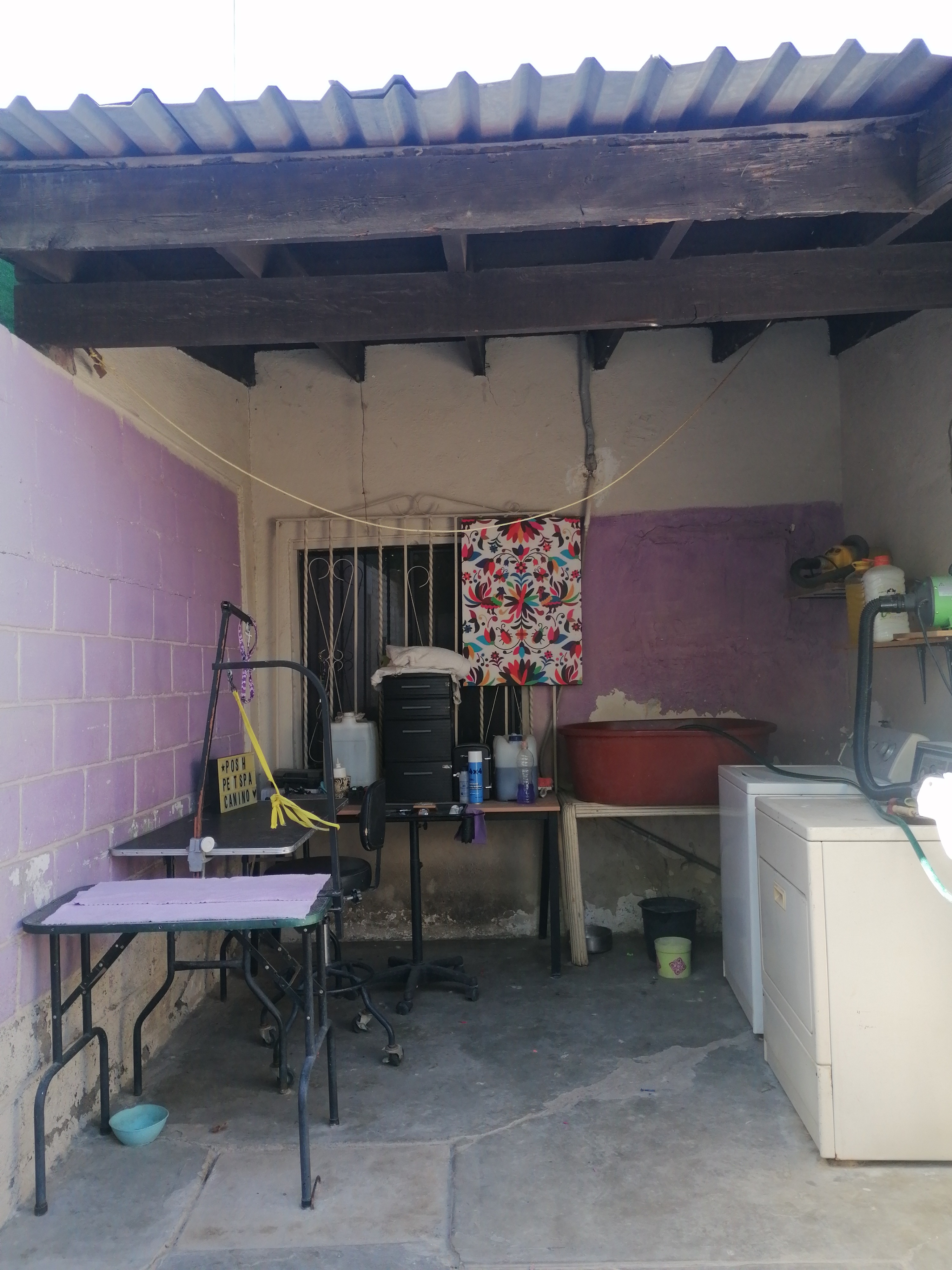 Reconstruir POSH PET SPA campaign photo, 2 of 8