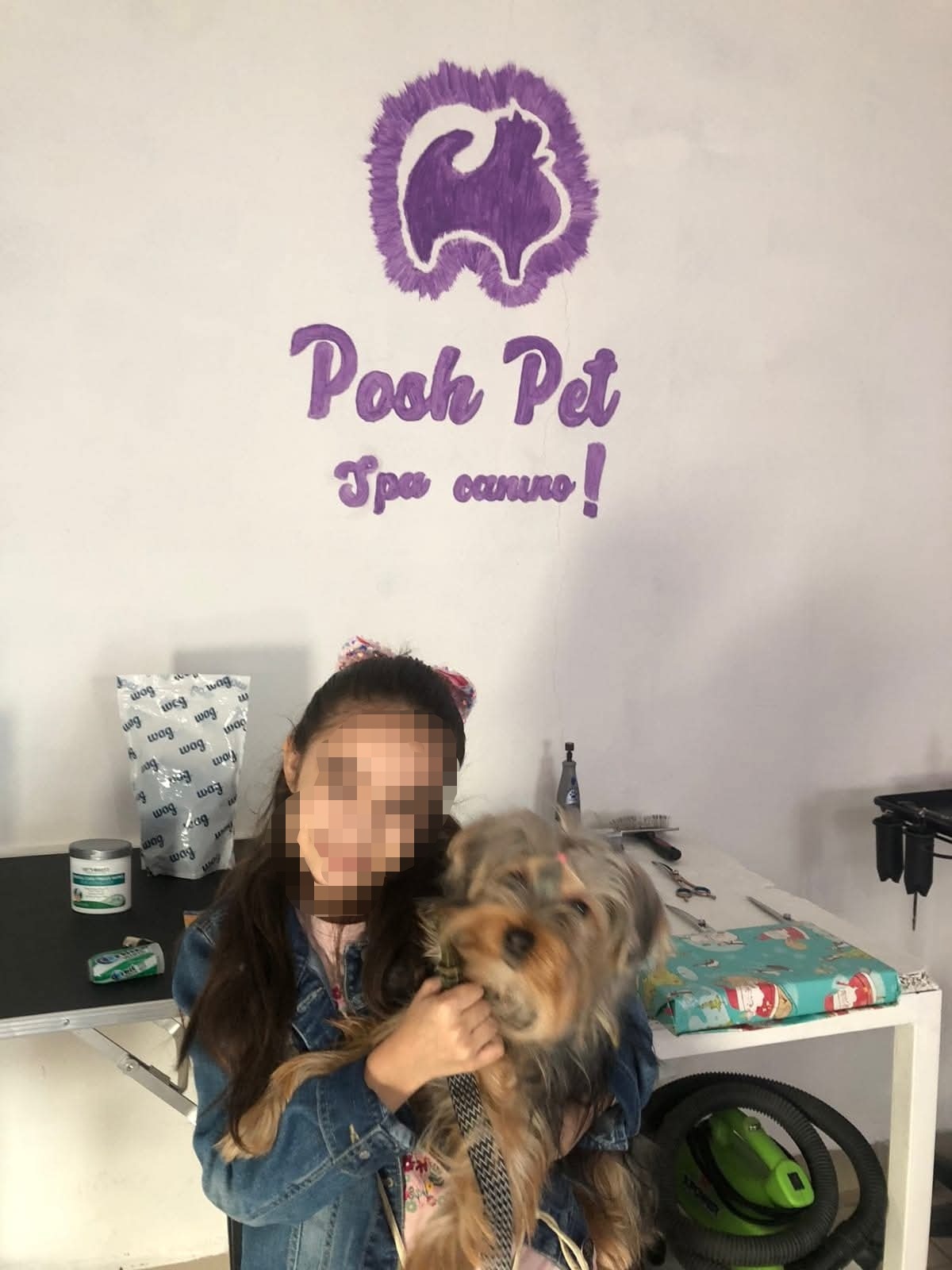 Reconstruir POSH PET SPA campaign photo, 6 of 8