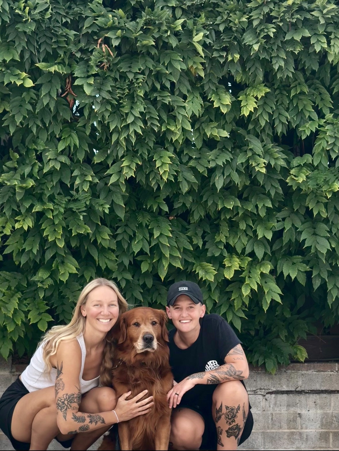 User-uploaded image 1