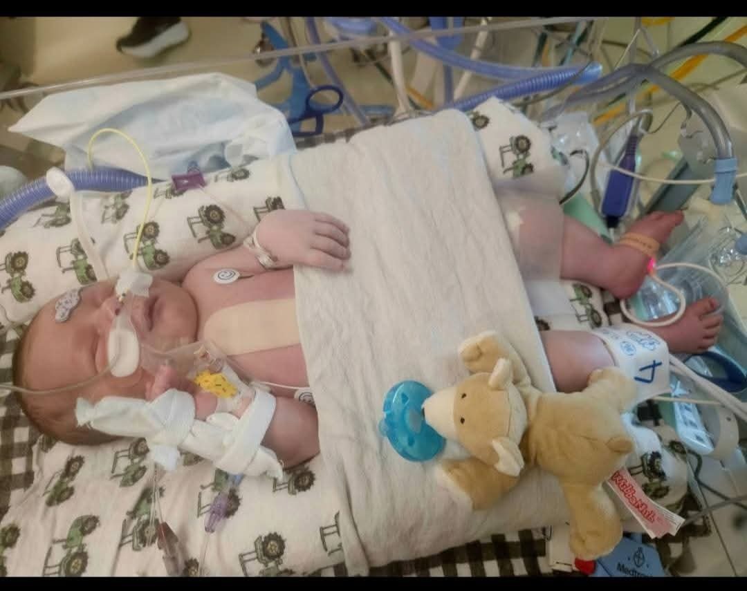 Help Baby Atlas Fight HLHS campaign photo, 2 of 8
