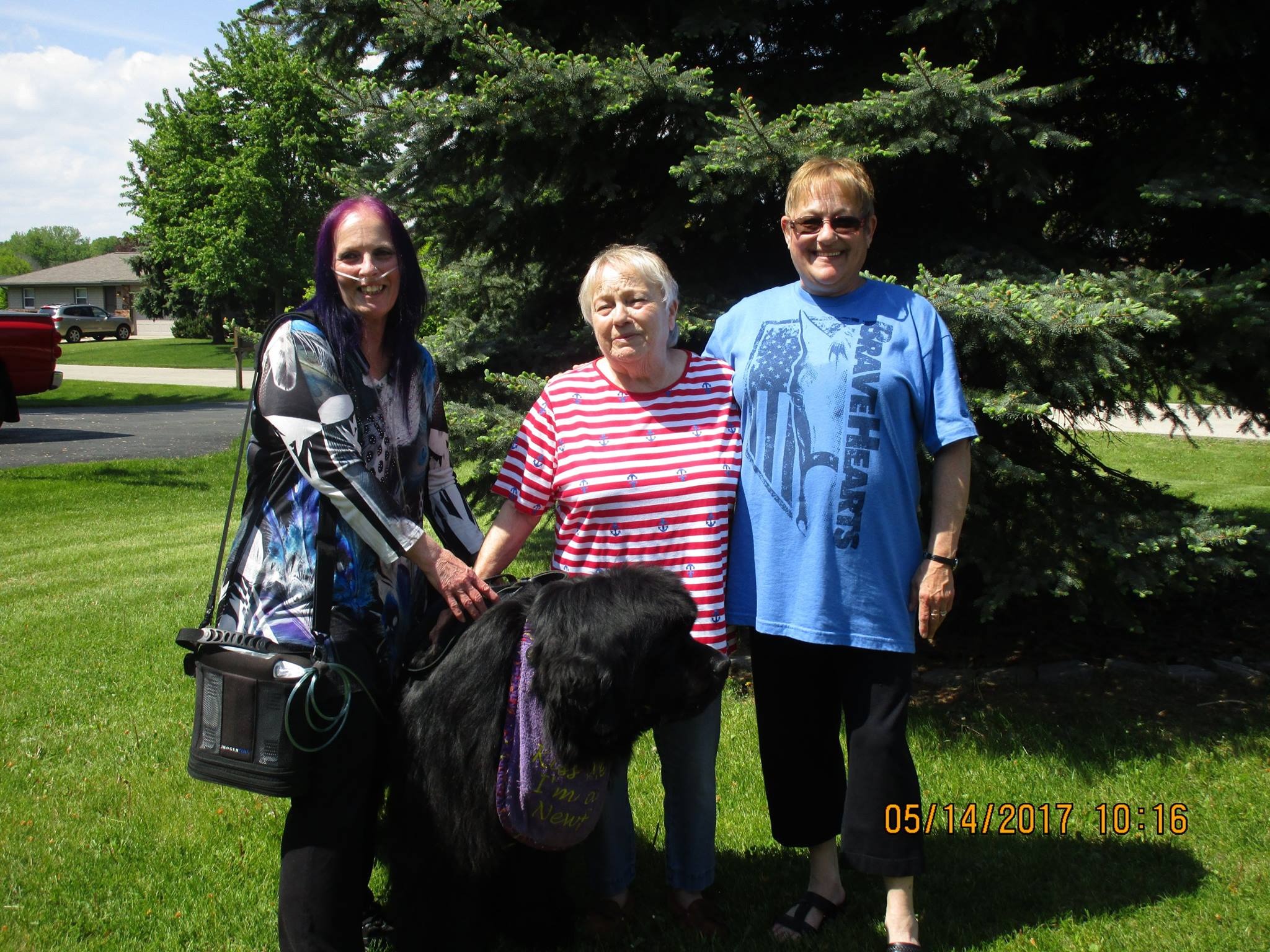 Lori Marchewka's Final Resting Place campaign photo, 4 of 8