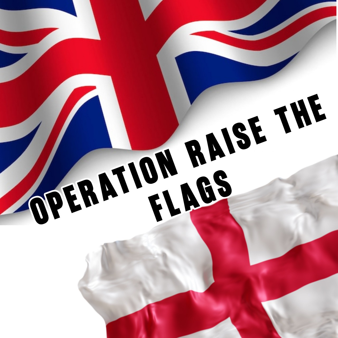 Operation raise the flags campaign photo, 2 of 4