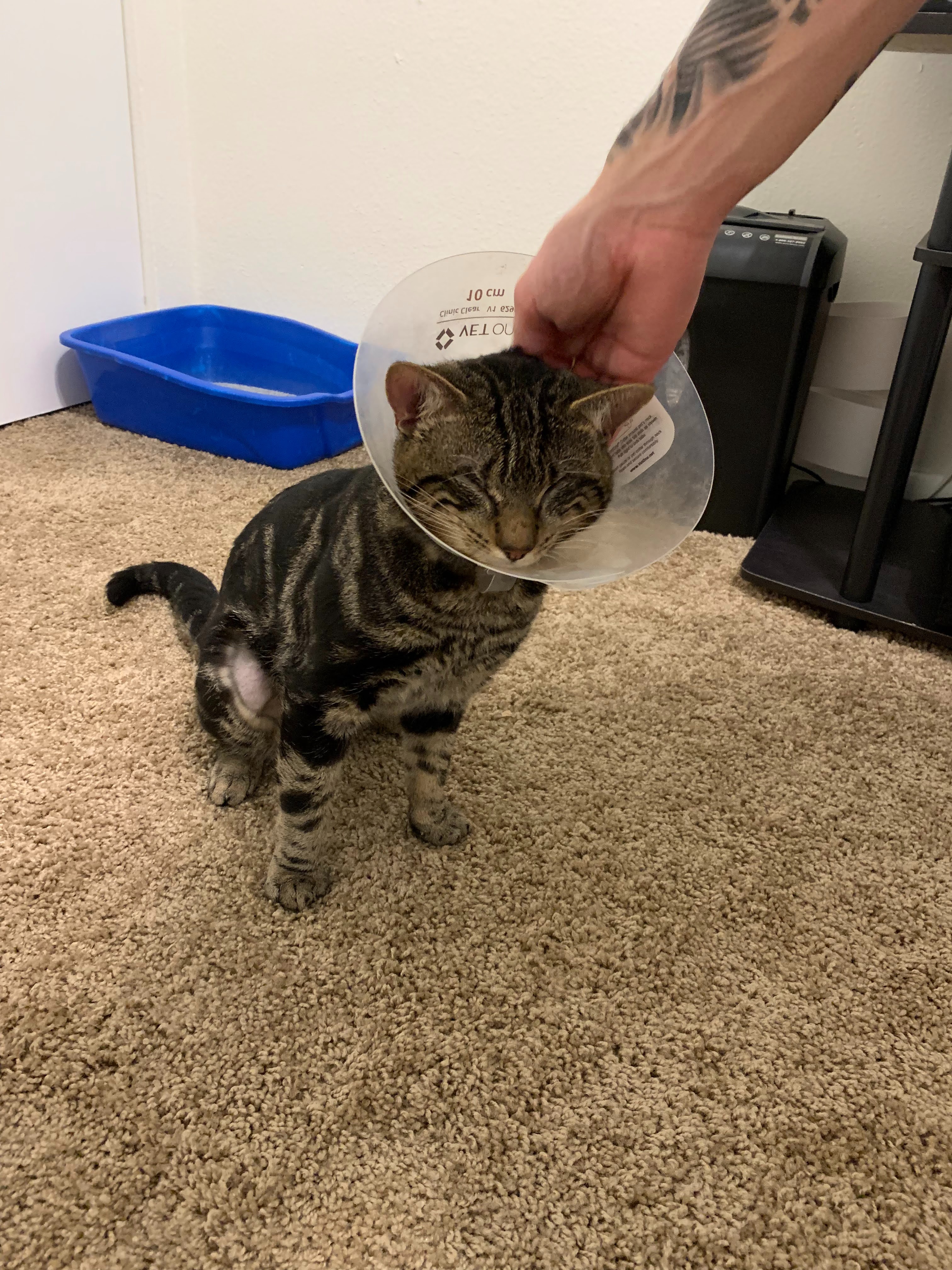 Save Ozzy's Sight with Your Kindness campaign photo, 2 of 5