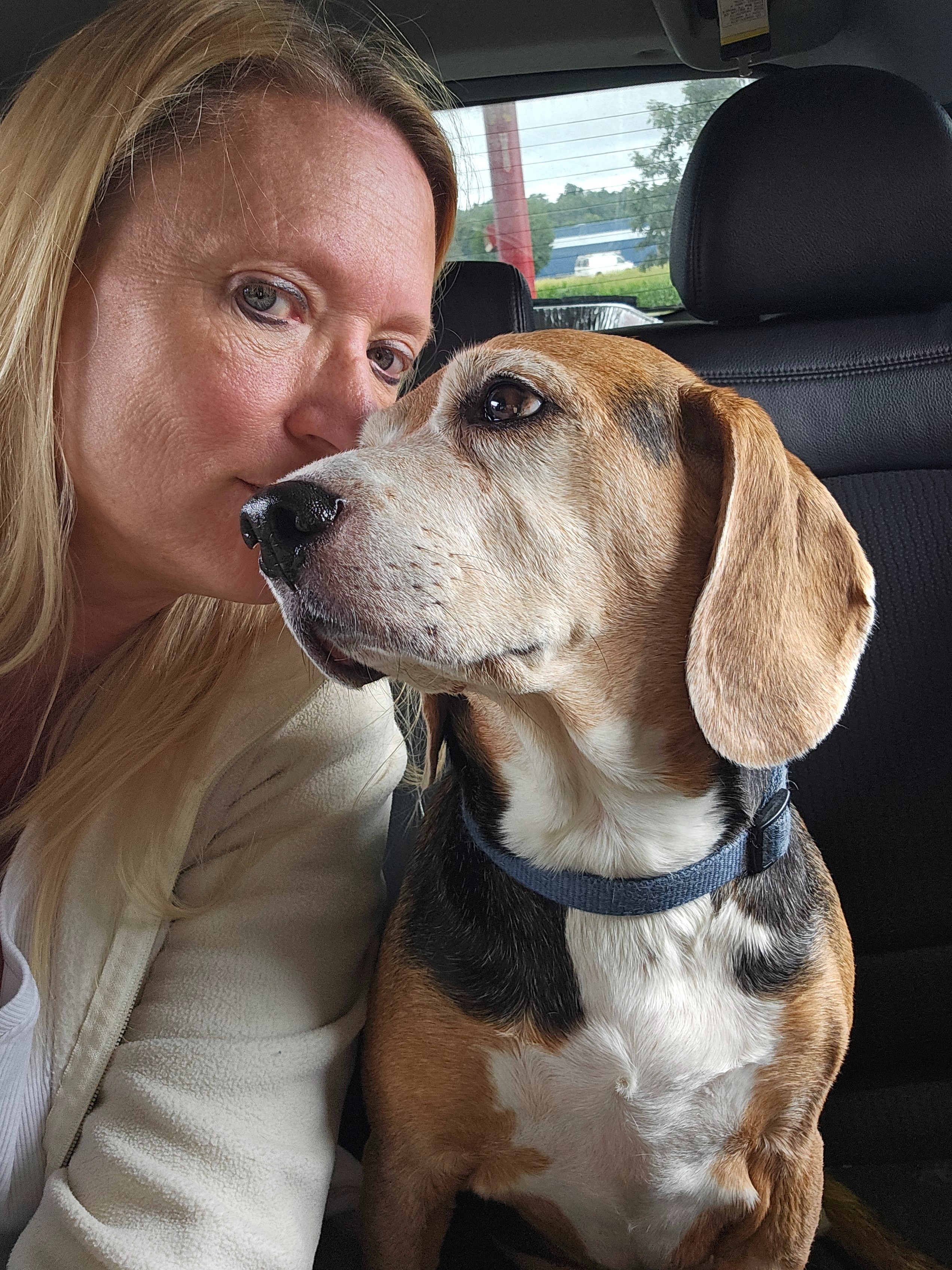HELP Milo in his Recovery campaign photo, 4 of 7