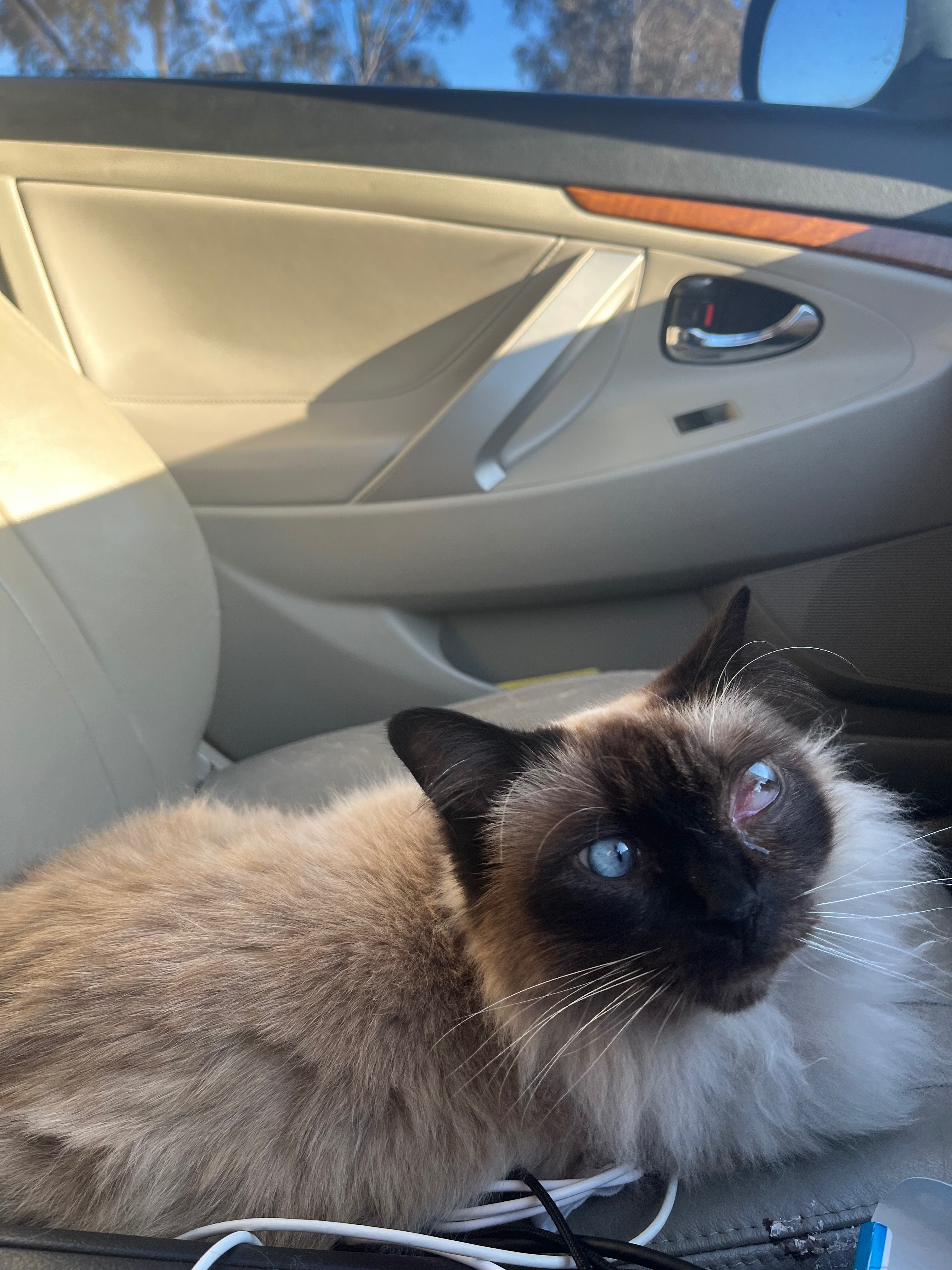 User-uploaded image 1