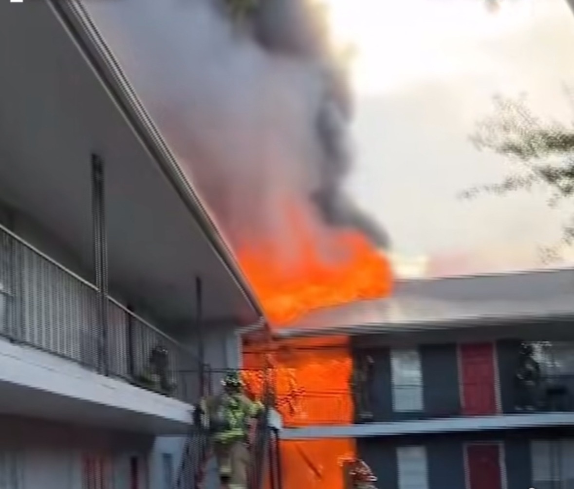 Support Estefani's Family After Fire Loss campaign photo, 6 of 7