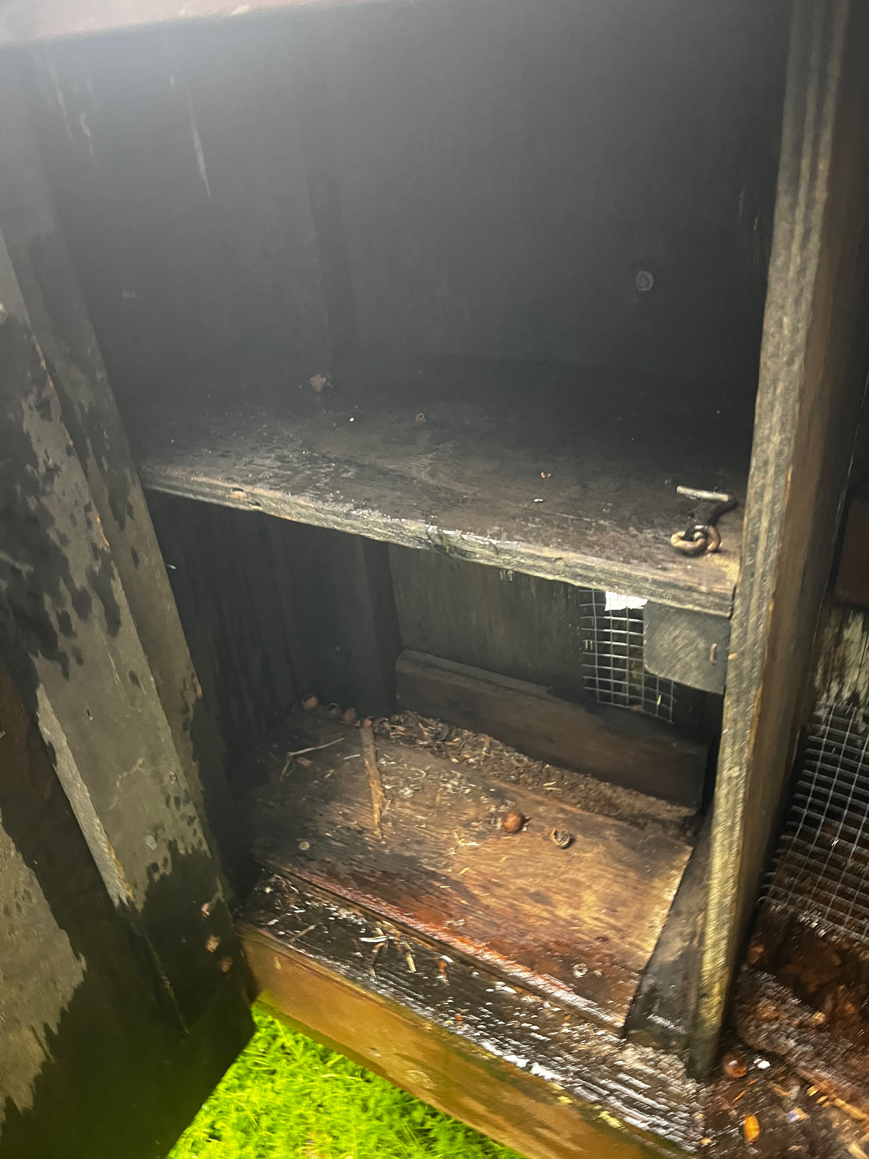 New China Camp Food Lockers — Eagle Scout Project campaign photo, 2 of 6
