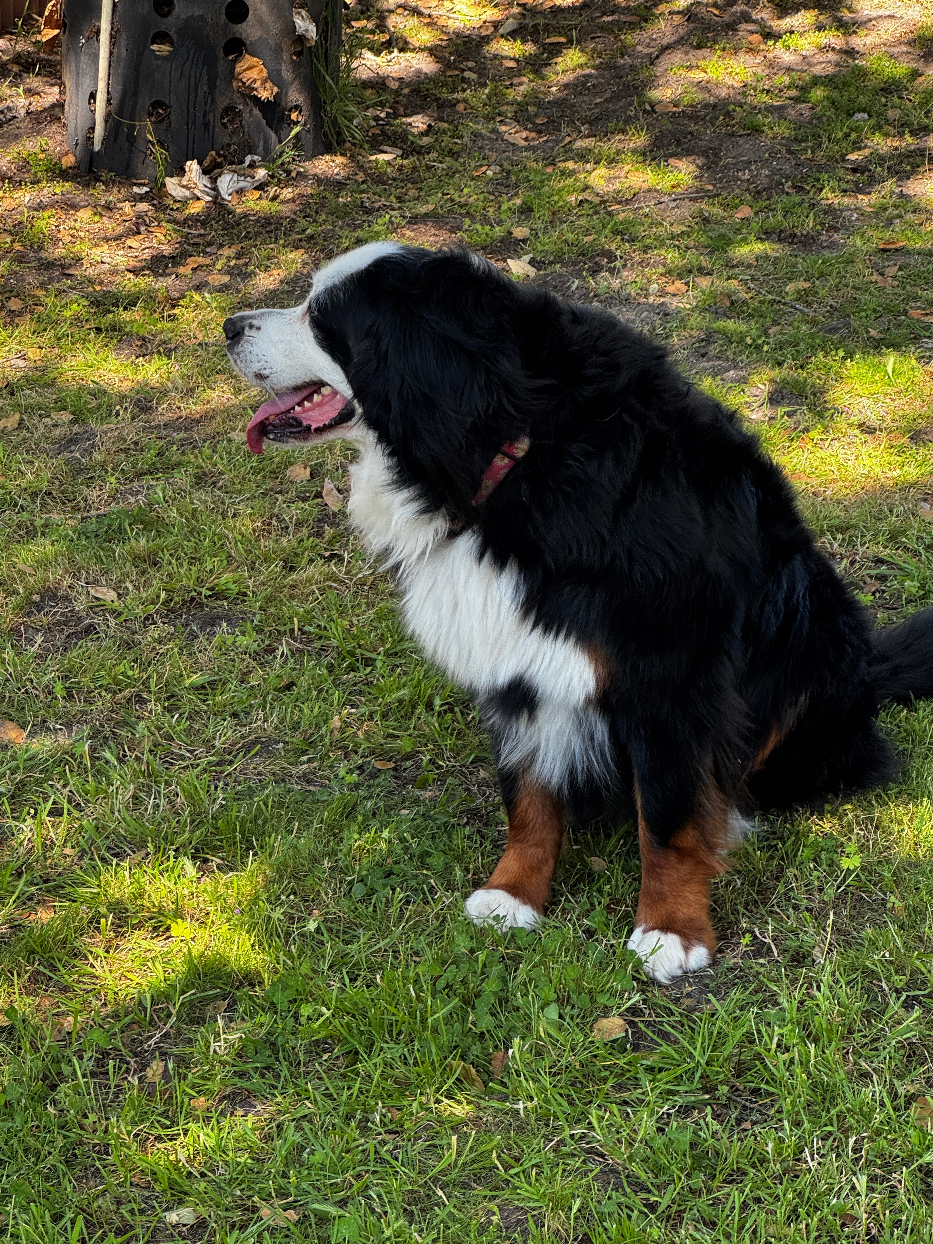 Bella's Battle: Join Us in Her Fight campaign photo, 2 of 4
