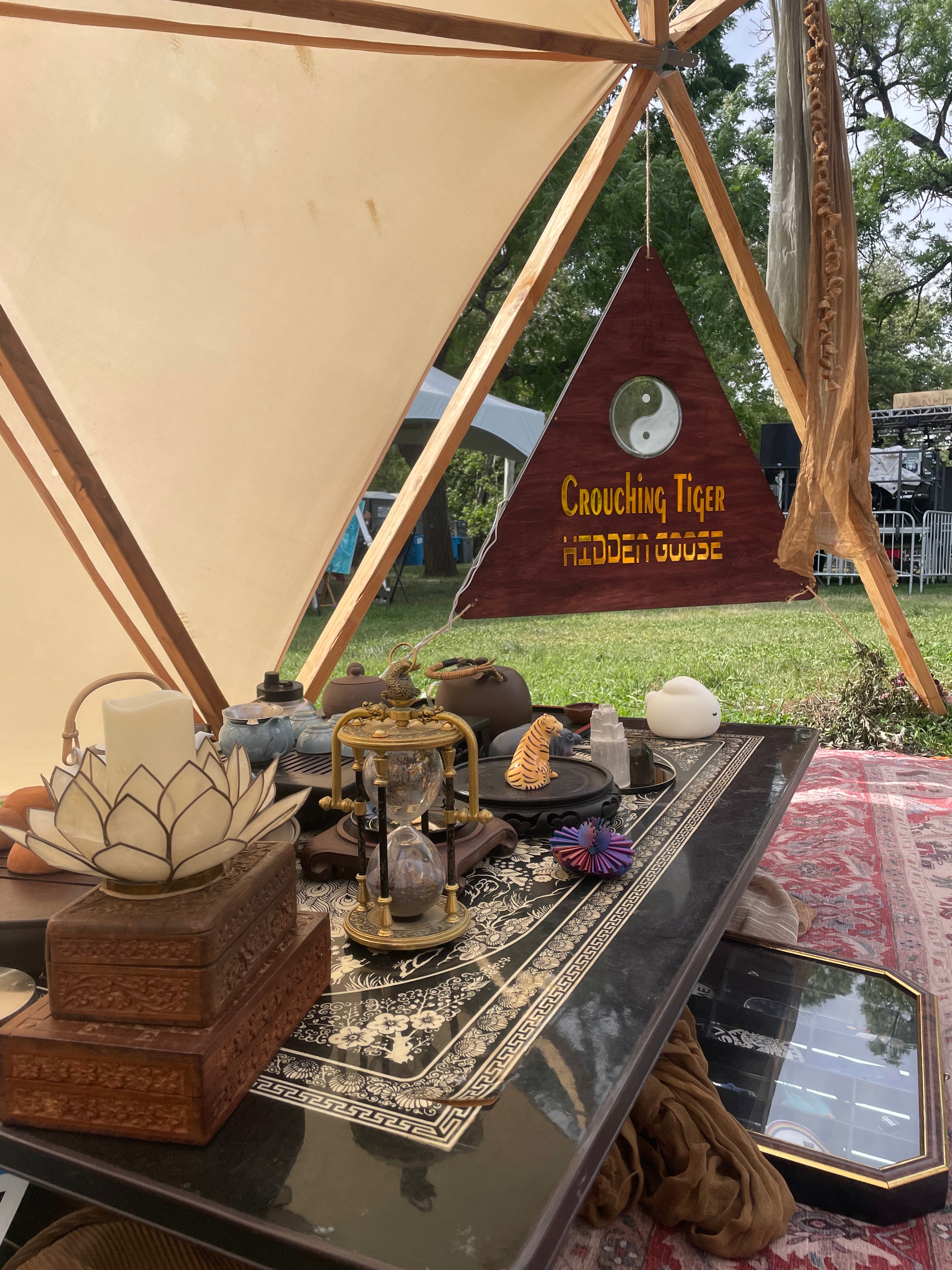 Support the Dome's Journey at Festivals campaign photo, 7 of 8