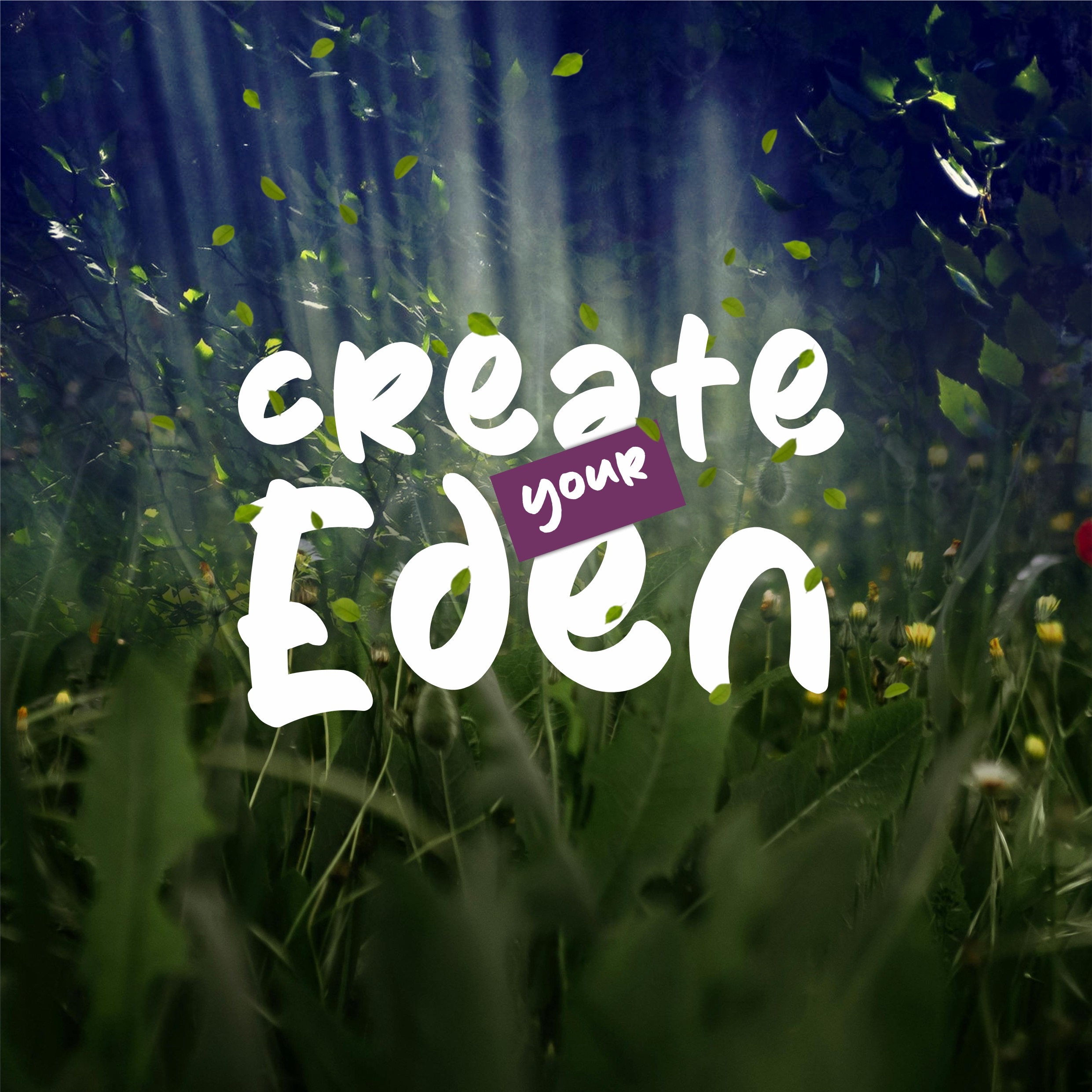 Donate to Launch Create Your Eden for Women campaign photo, 2 of 4
