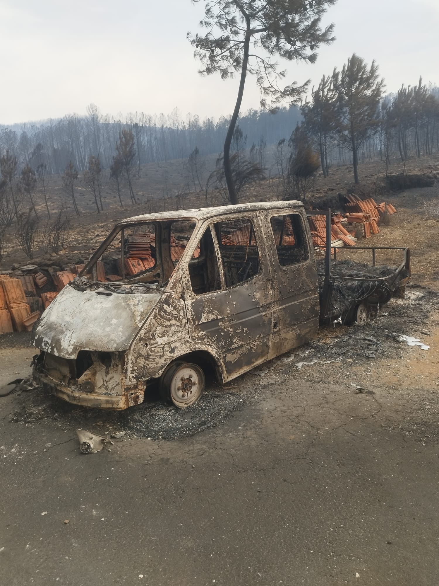 Rebuild Our Farm and Animals After the Piódão Wildfire campaign photo, 7 of 8
