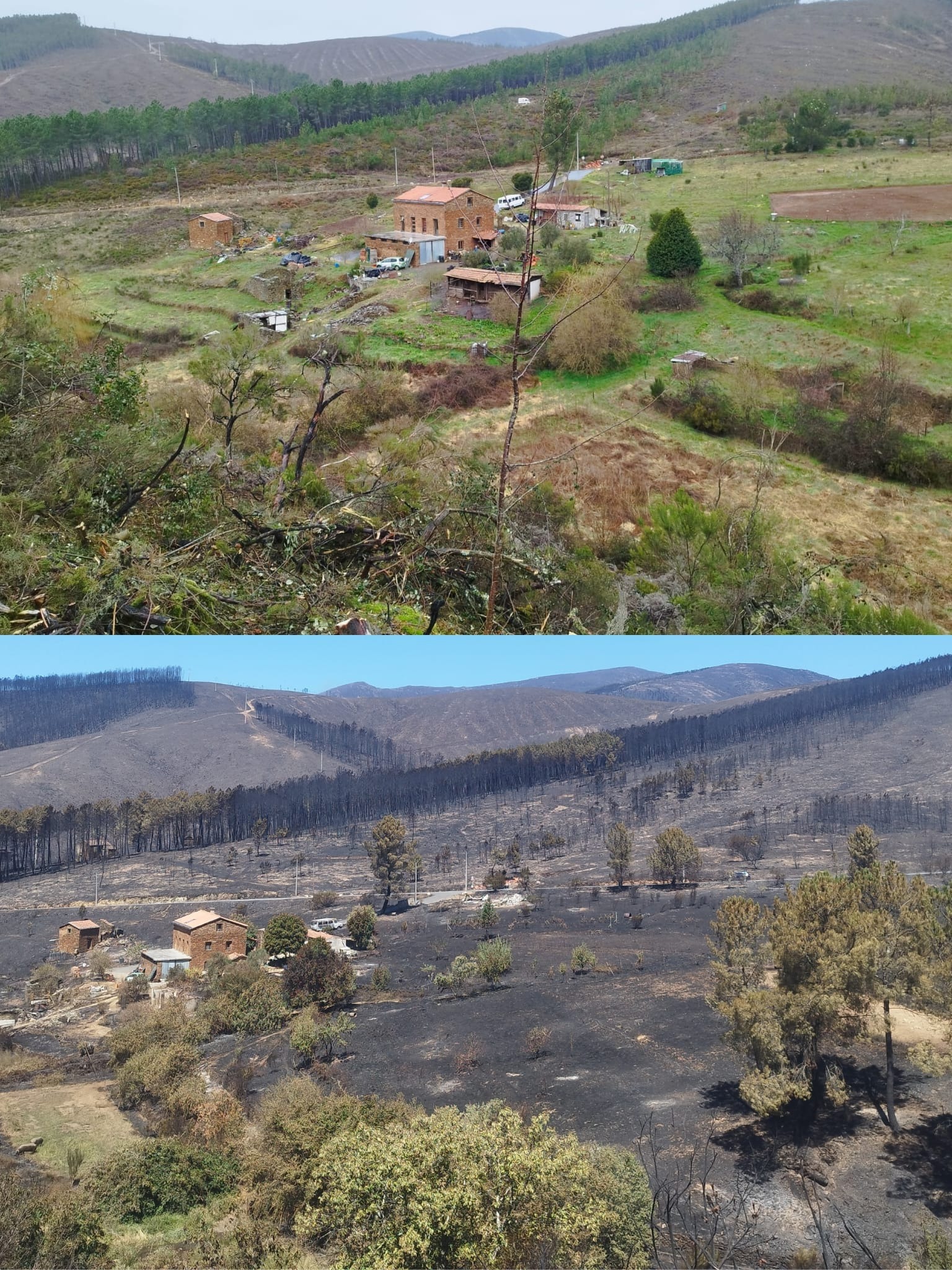 Rebuild Our Farm and Animals After the Piódão Wildfire campaign photo, 4 of 8