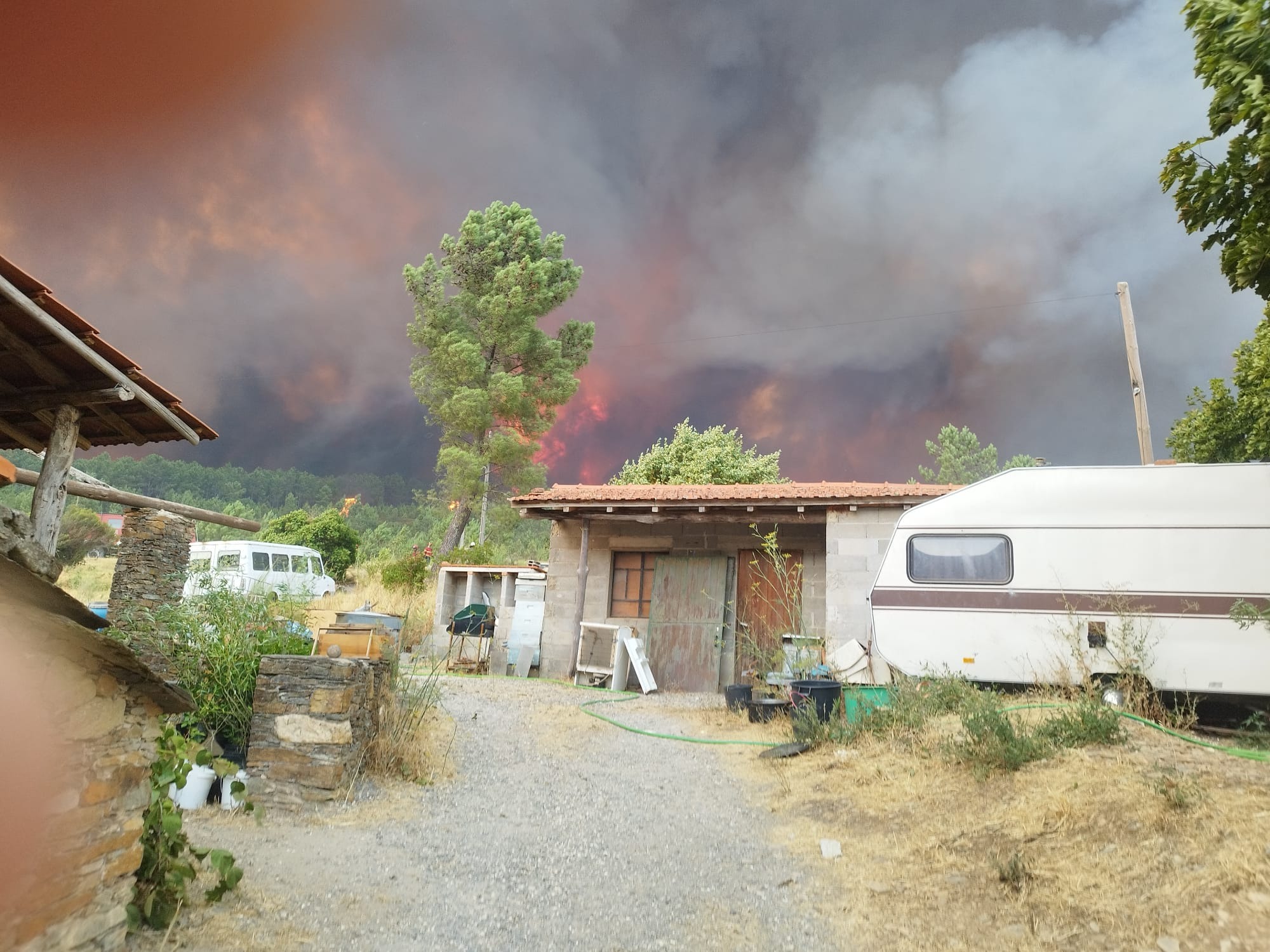 Rebuild Our Farm and Animals After the Piódão Wildfire campaign photo, 5 of 8