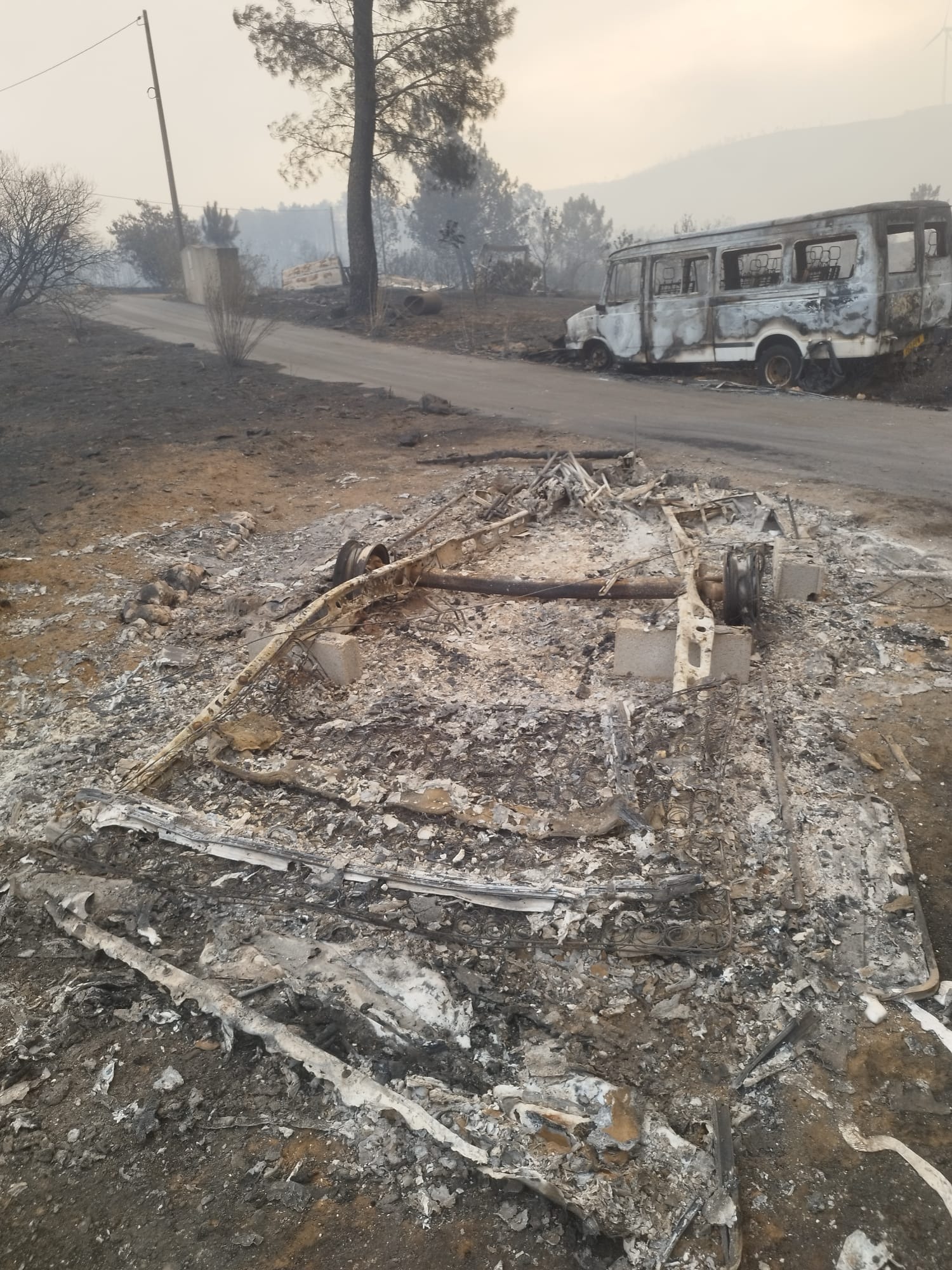Rebuild Our Farm and Animals After the Piódão Wildfire campaign photo, 6 of 8