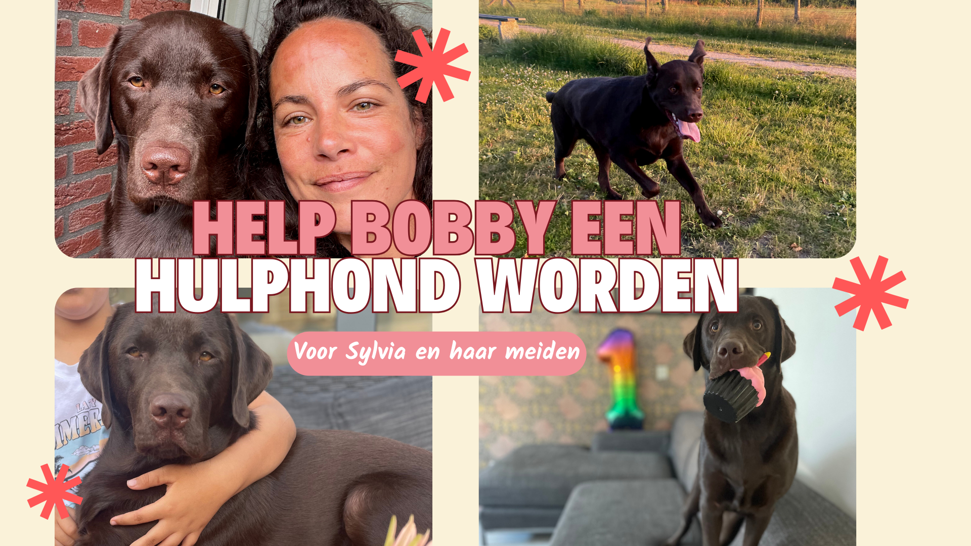 Help Bobby een hulphond worden voor Sylvia en haar meiden campaign photo, 2 of 5