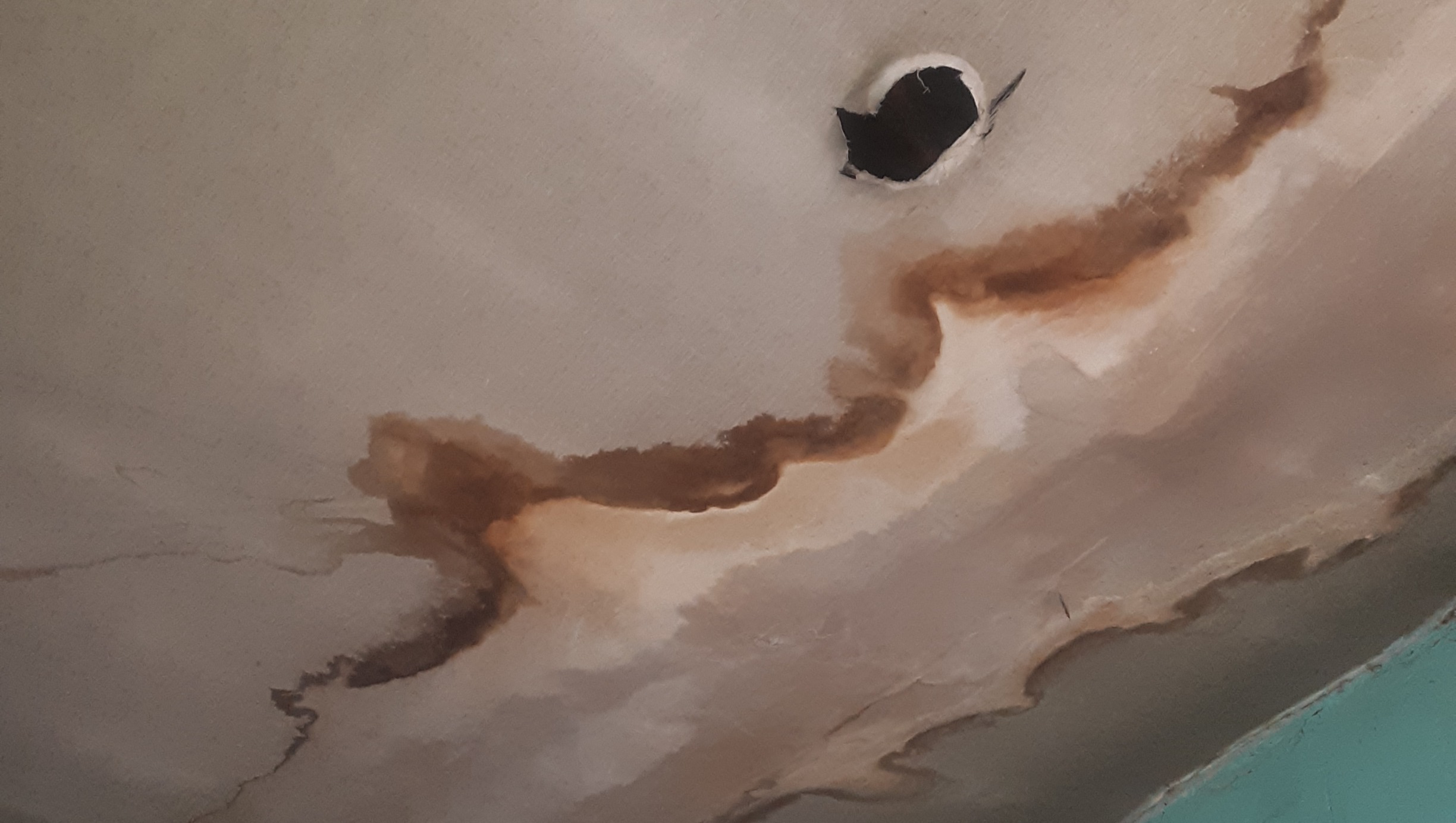 Old lady House photo