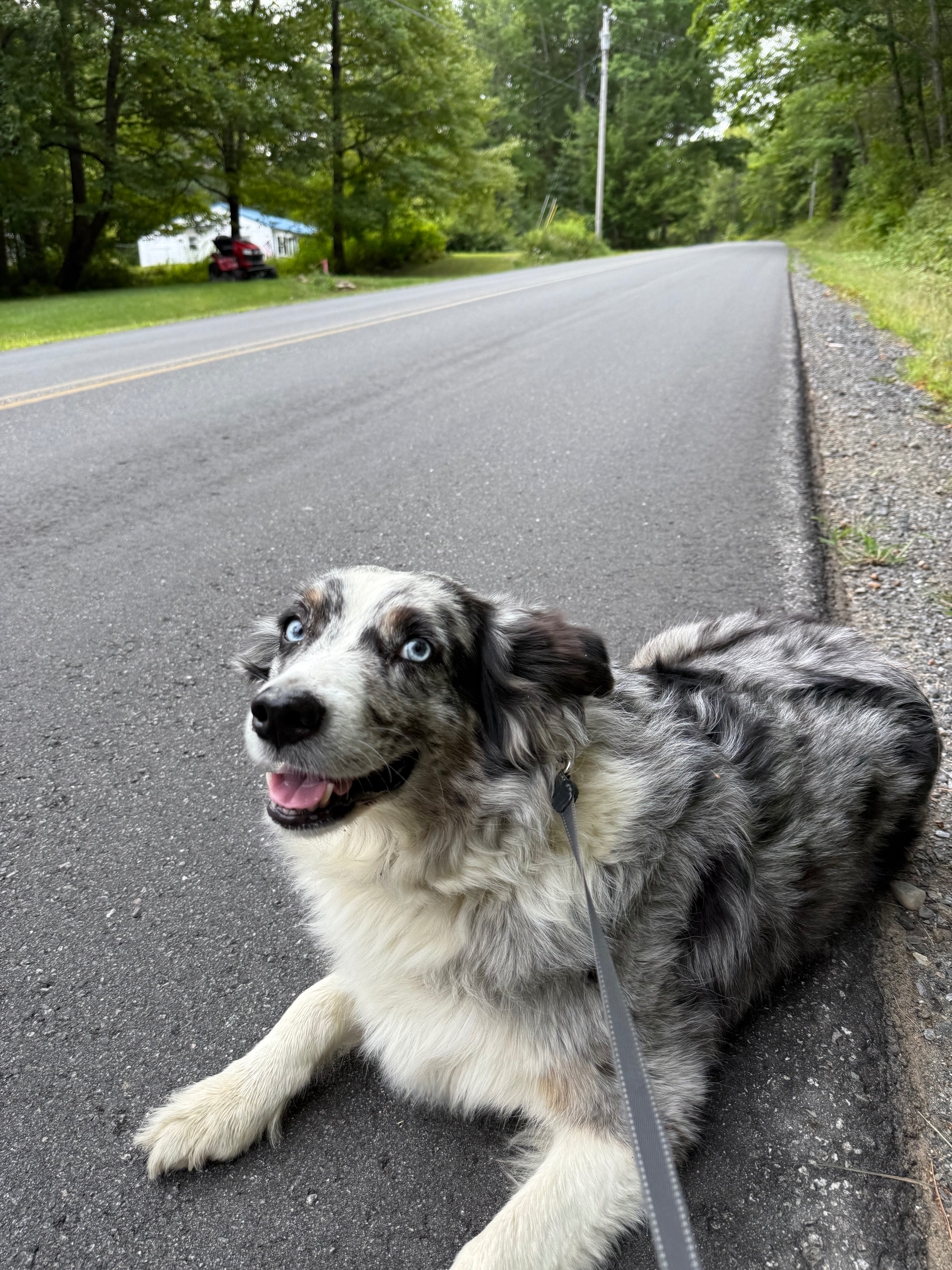 Bellas story: a tragic accident campaign photo, 7 of 8