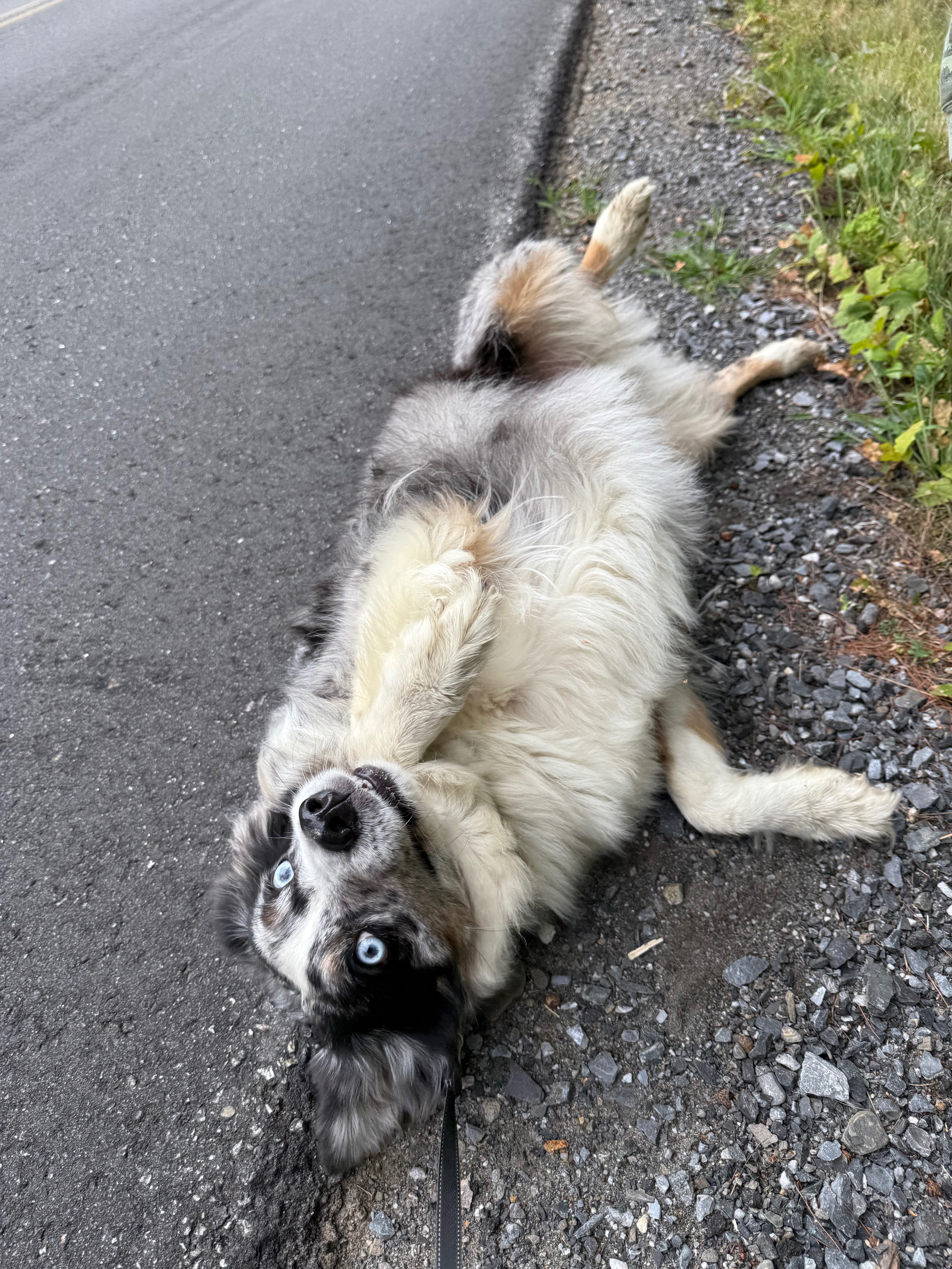 Bellas story: a tragic accident campaign photo, 6 of 8