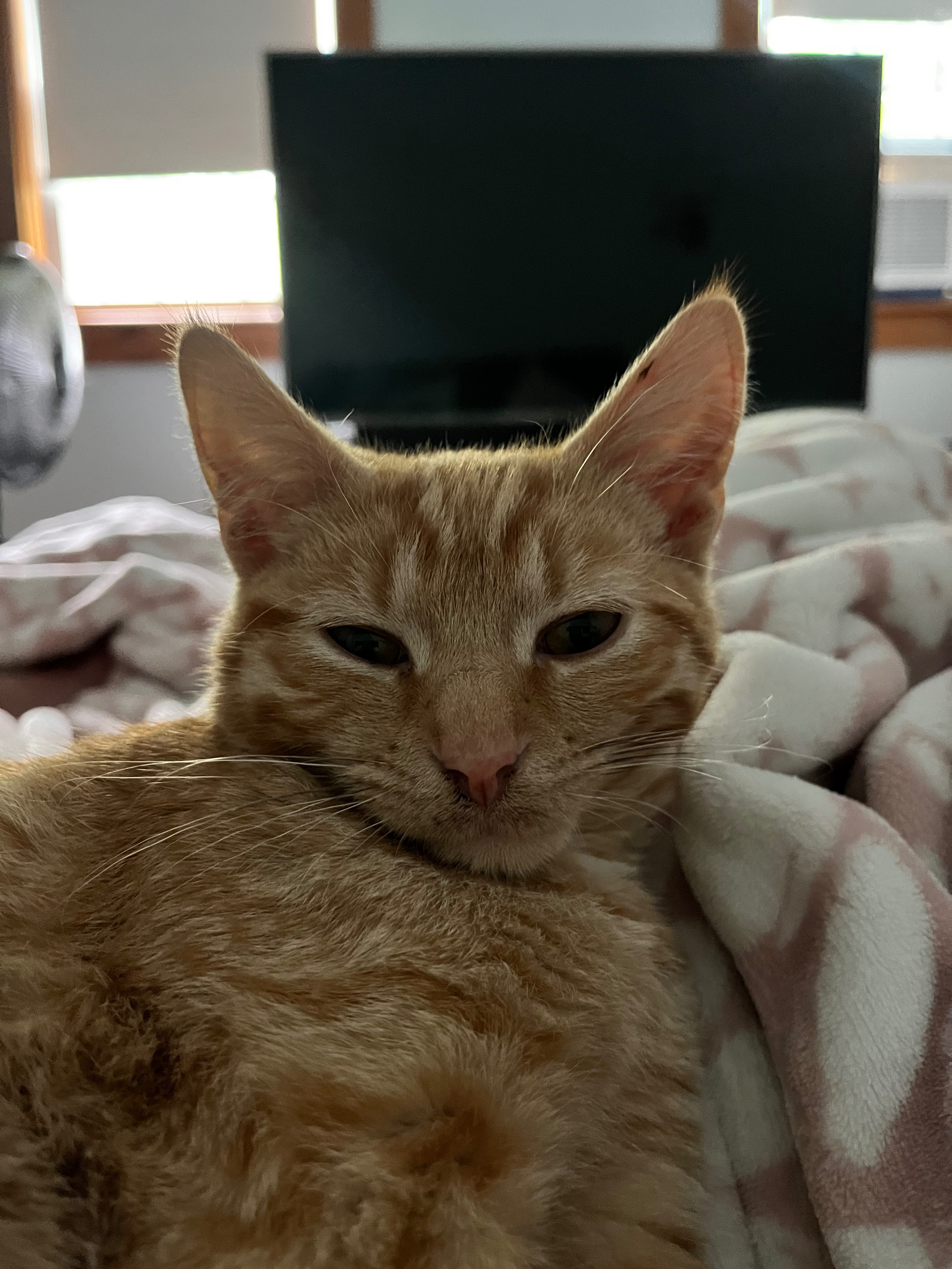 Little Rico’s surgery expenses ❤️ campaign photo, 2 of 4