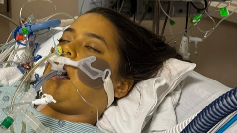 Fundraiser by Bradley Stephens : Support Emma Daaboul's Liver Transplant