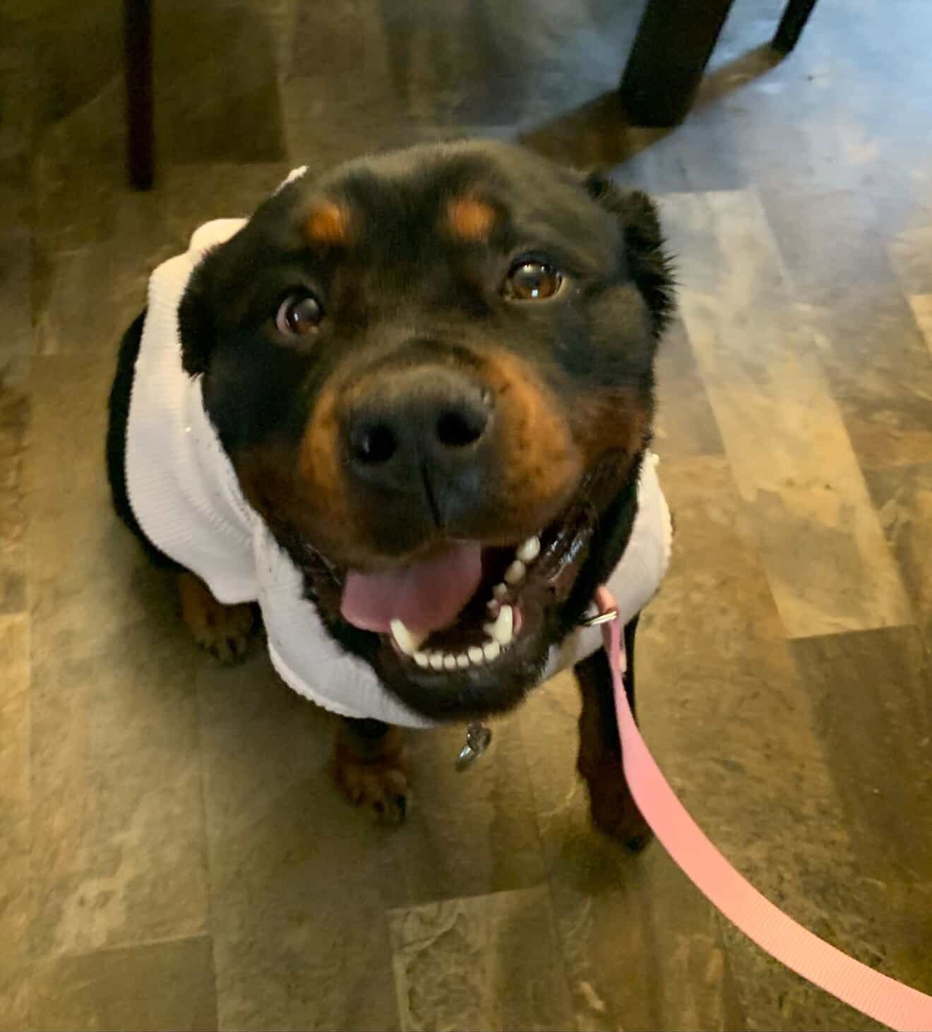 Gorda Needs Emergency Care: Help Us campaign photo, 2 of 5