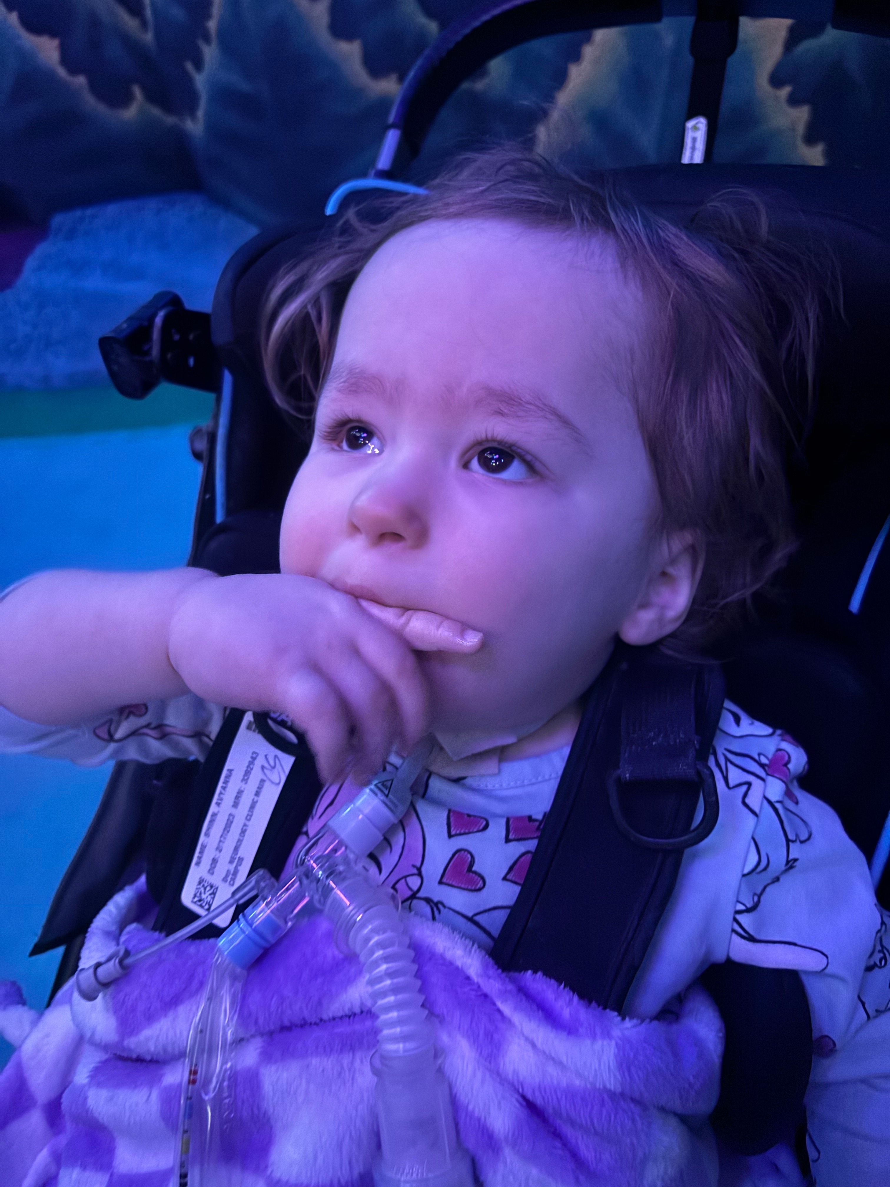 Help Us Lay Our Sweet Baby Girl to Rest campaign photo, 2 of 8