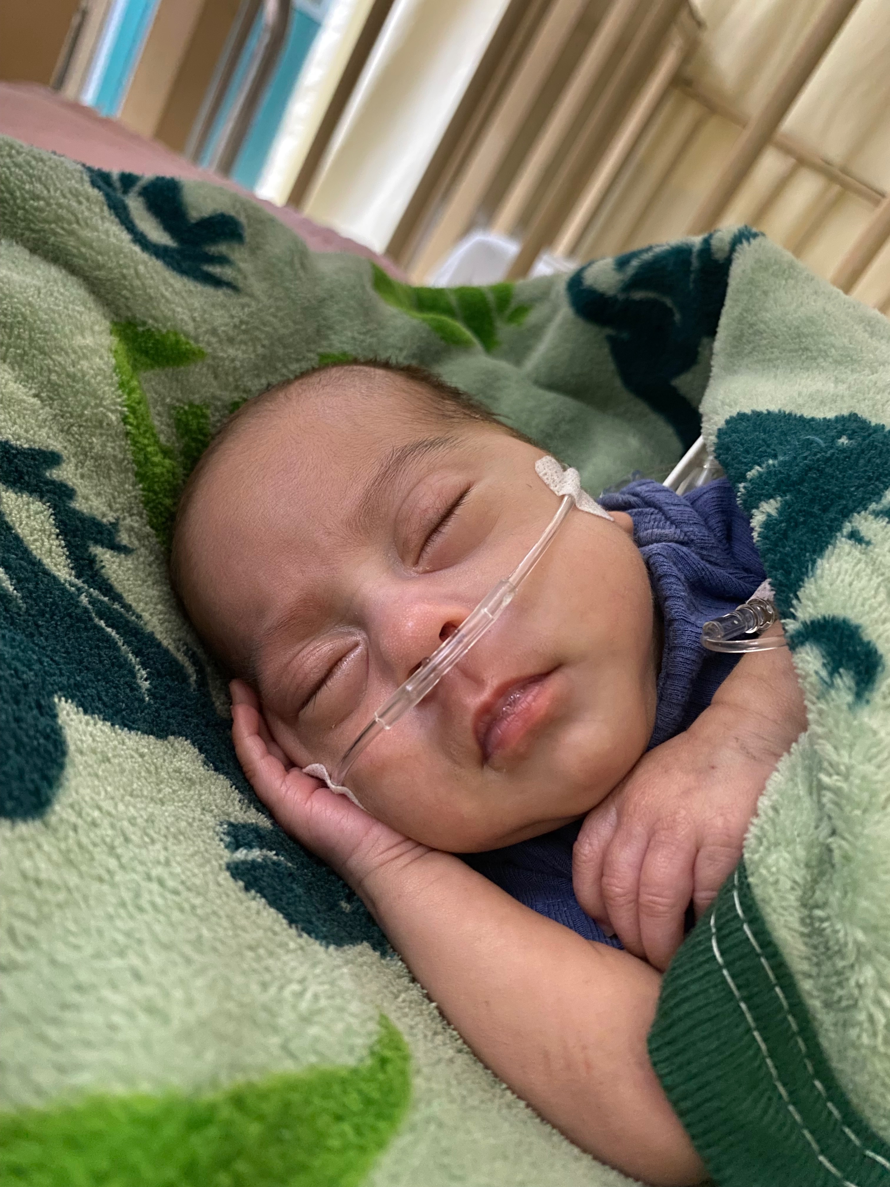 User-uploaded image 1