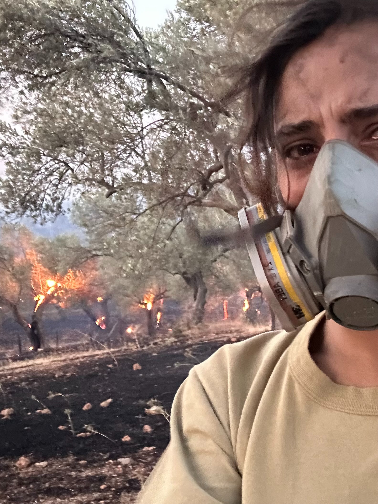 Save Olive Farm: Support Young Farmers in Wildfire Recovery campaign photo, 6 of 8