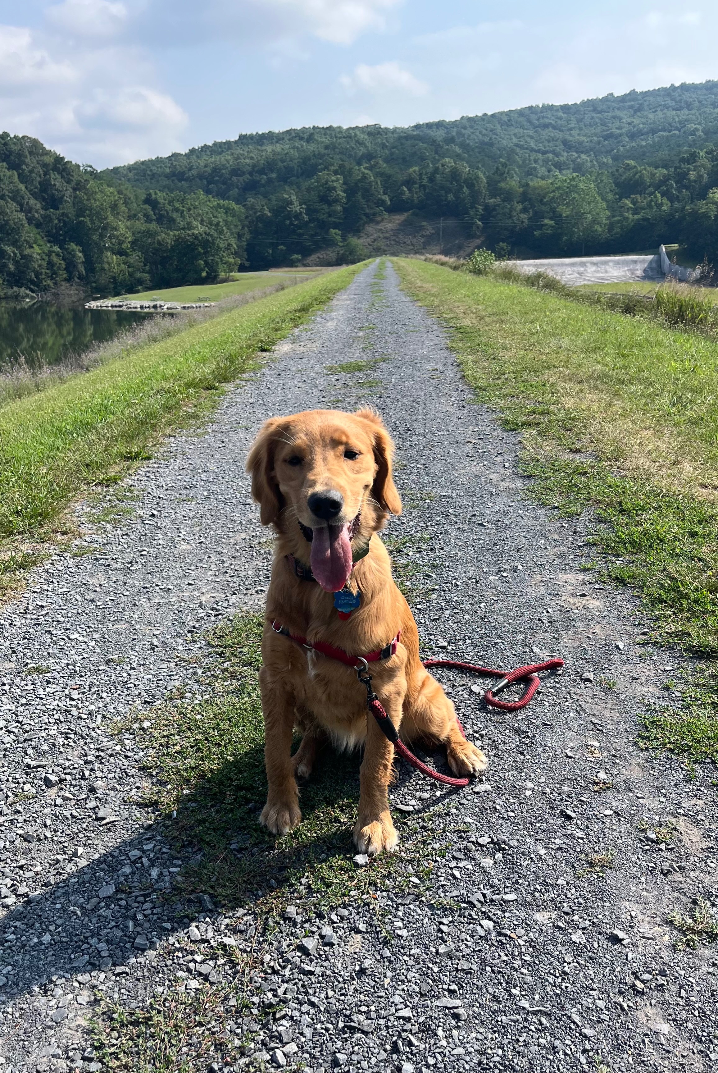 30 Mile Dog Walk for American Cancer Society campaign photo, 5 of 6