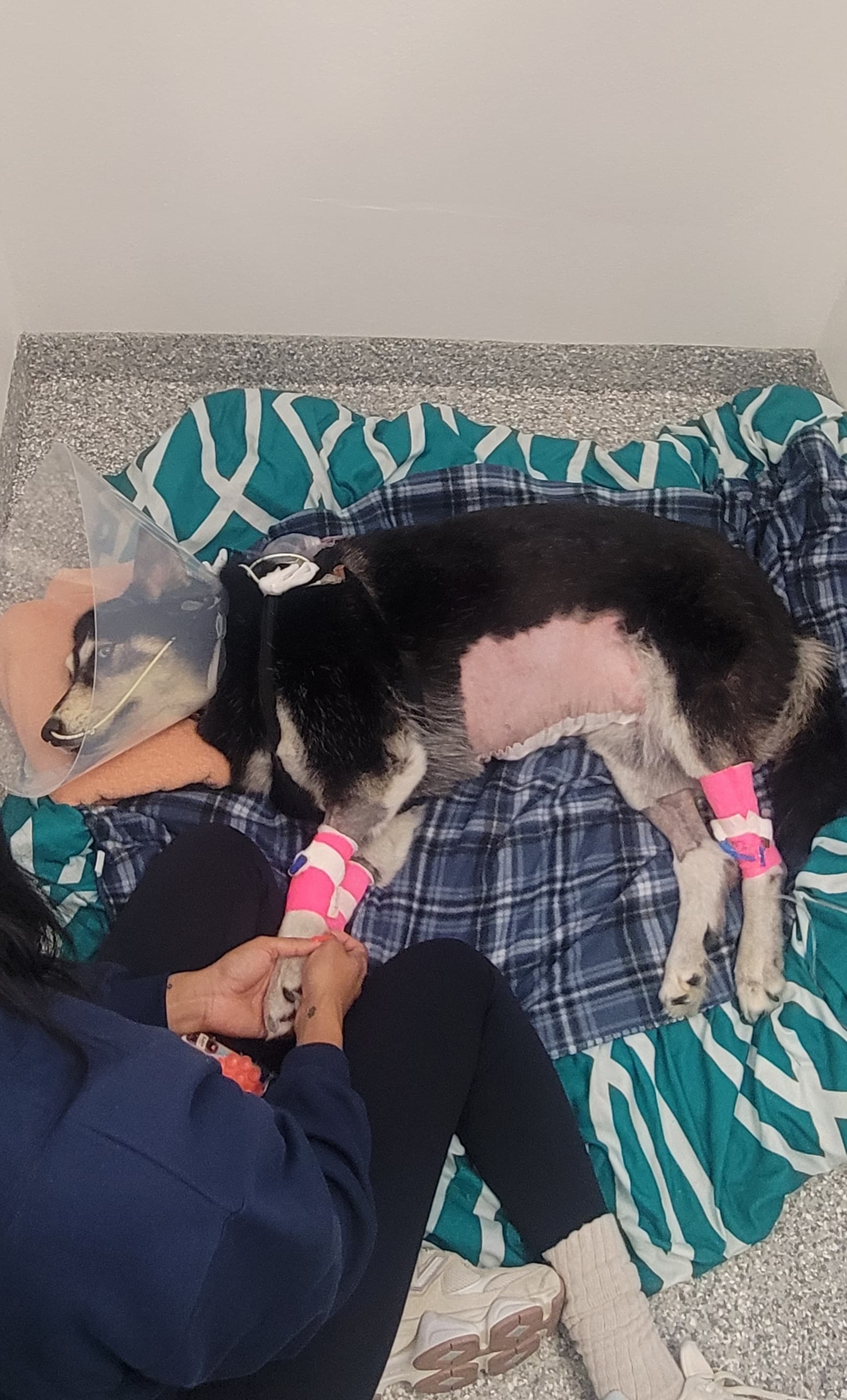 Rain’s Emergency Surgery campaign photo, 5 of 8