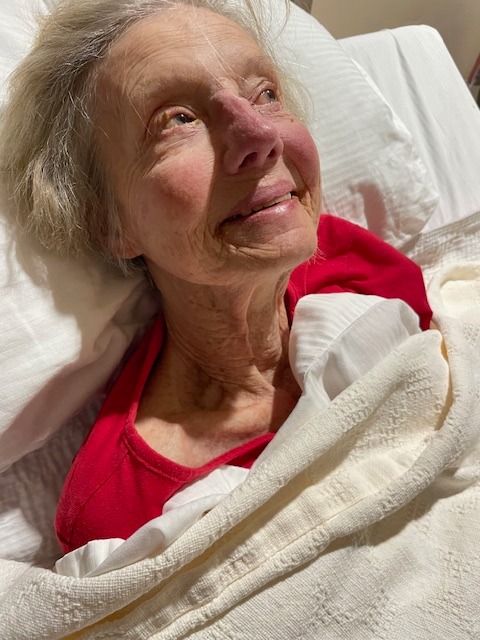 Aid Melissa Miller's Hospice Journey campaign photo, 5 of 8