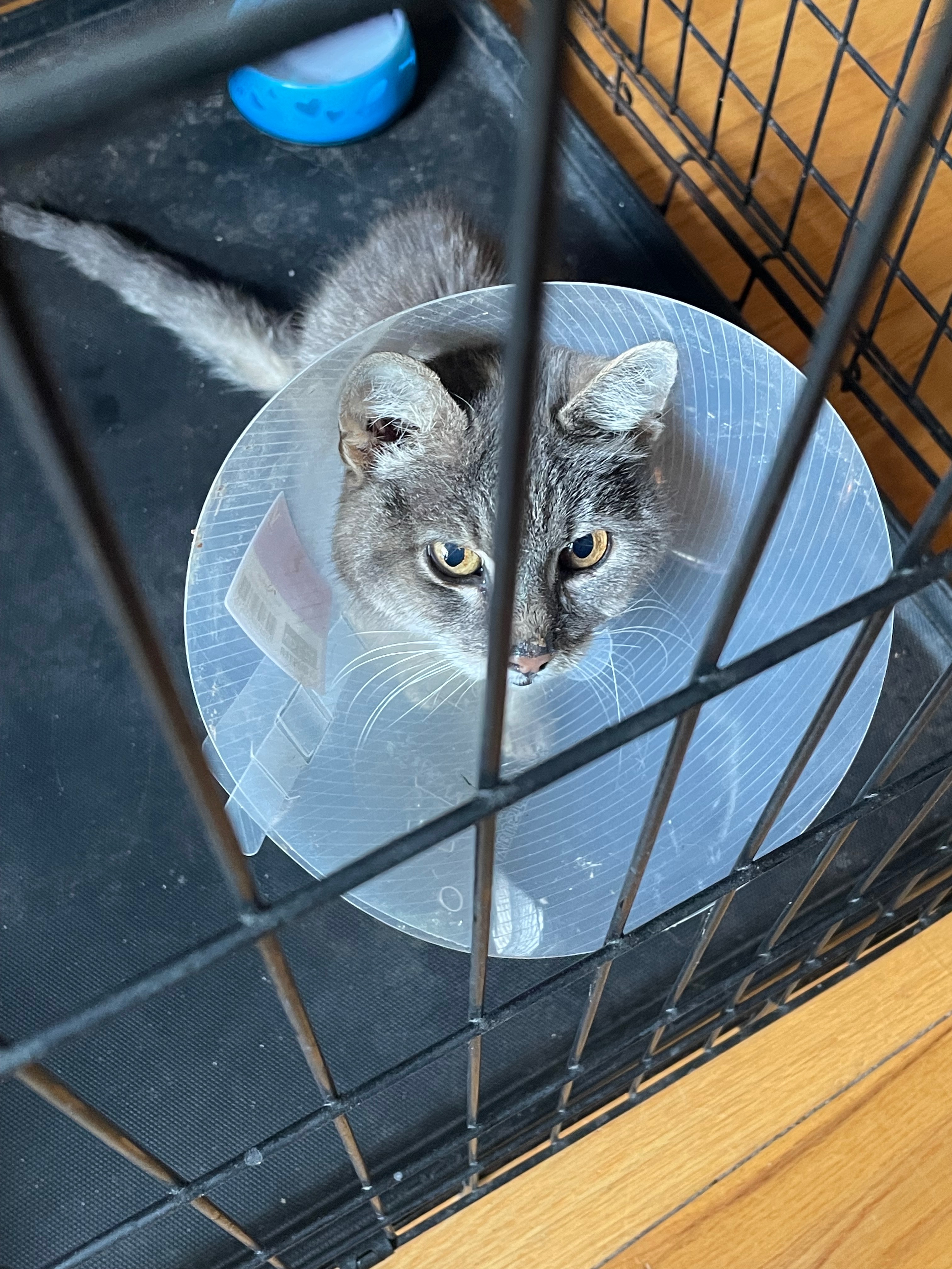 Teva’s Road to Recovery campaign photo, 4 of 8