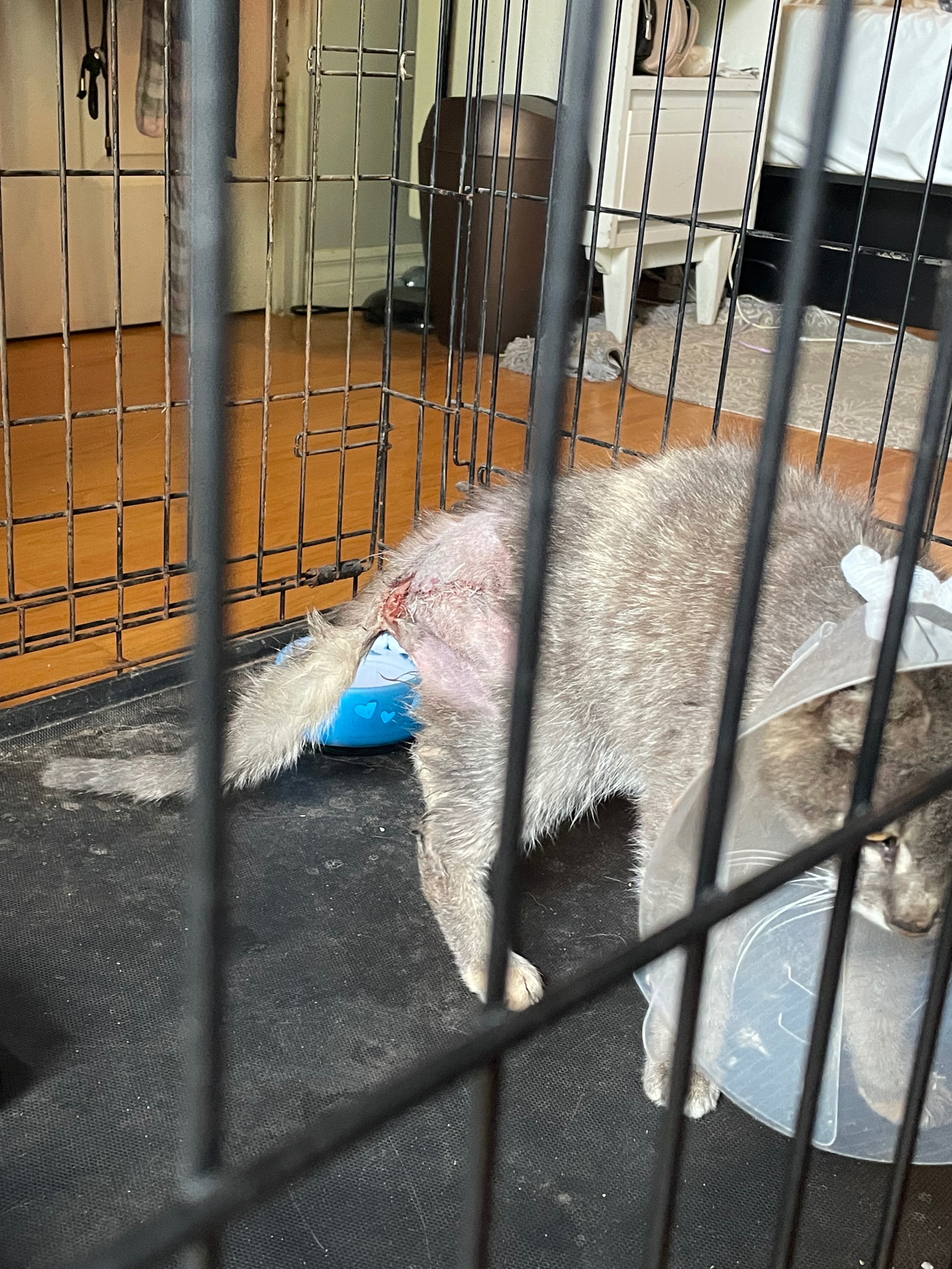 Teva’s Road to Recovery campaign photo, 5 of 8