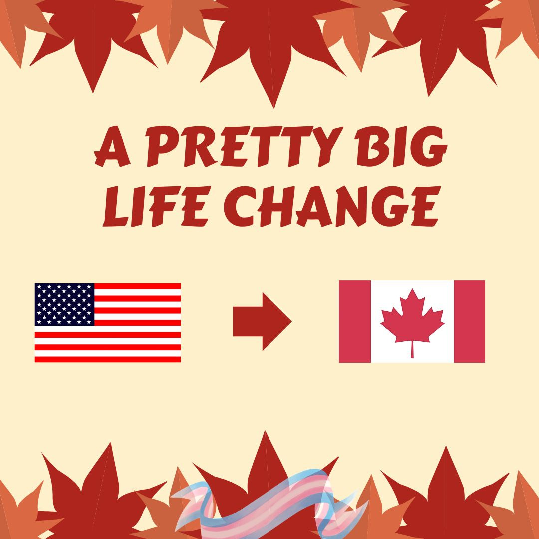 User-uploaded image 1