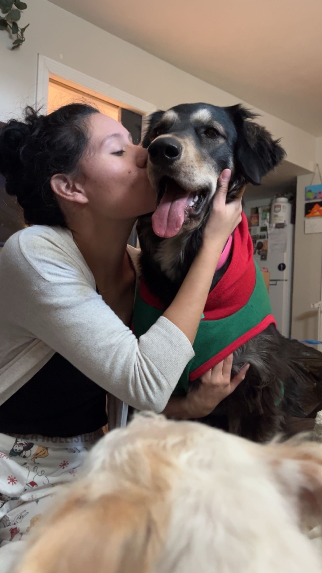 Support Daniella's Birthday Wish for MSPCA campaign photo, 6 of 6