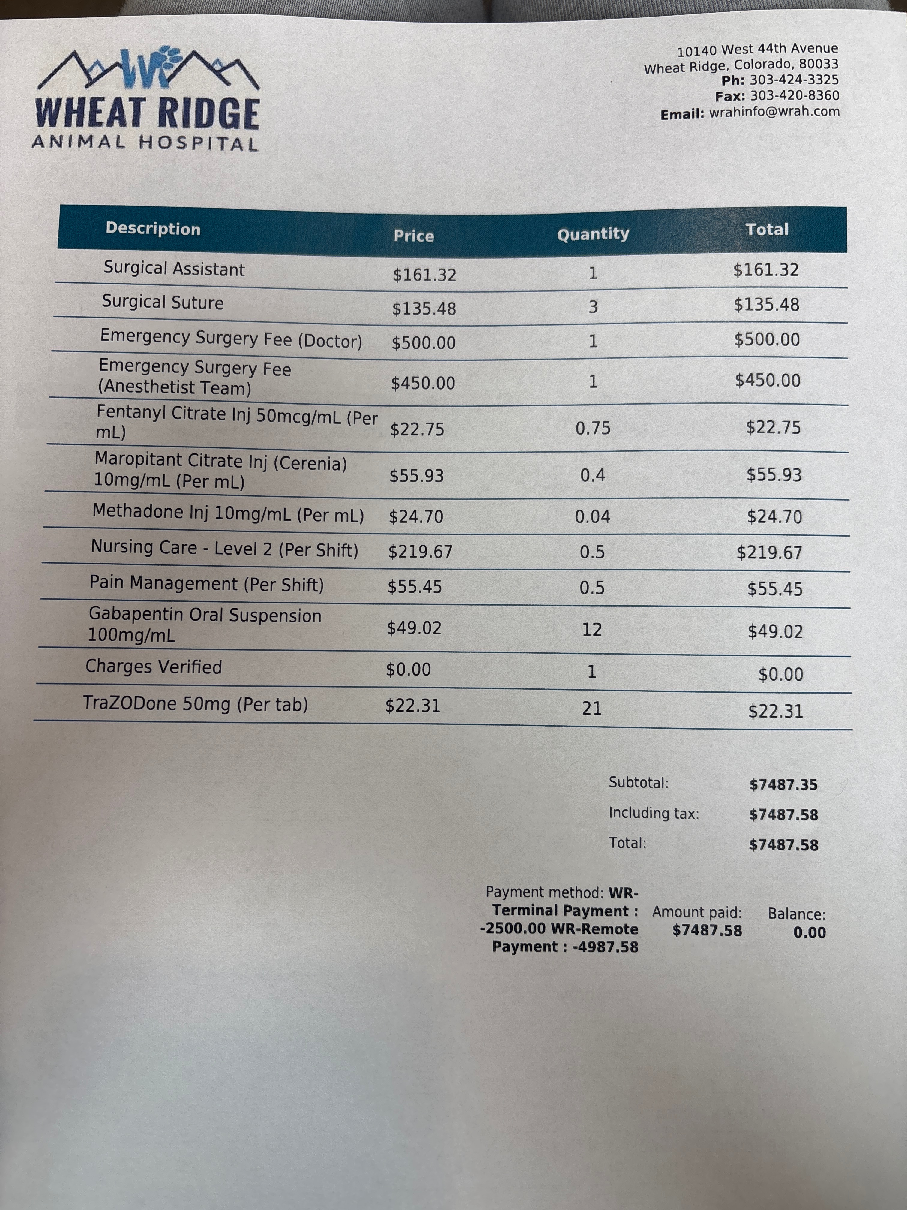 Help Save Ponyo: Urgent Surgery Needed campaign photo, 5 of 7