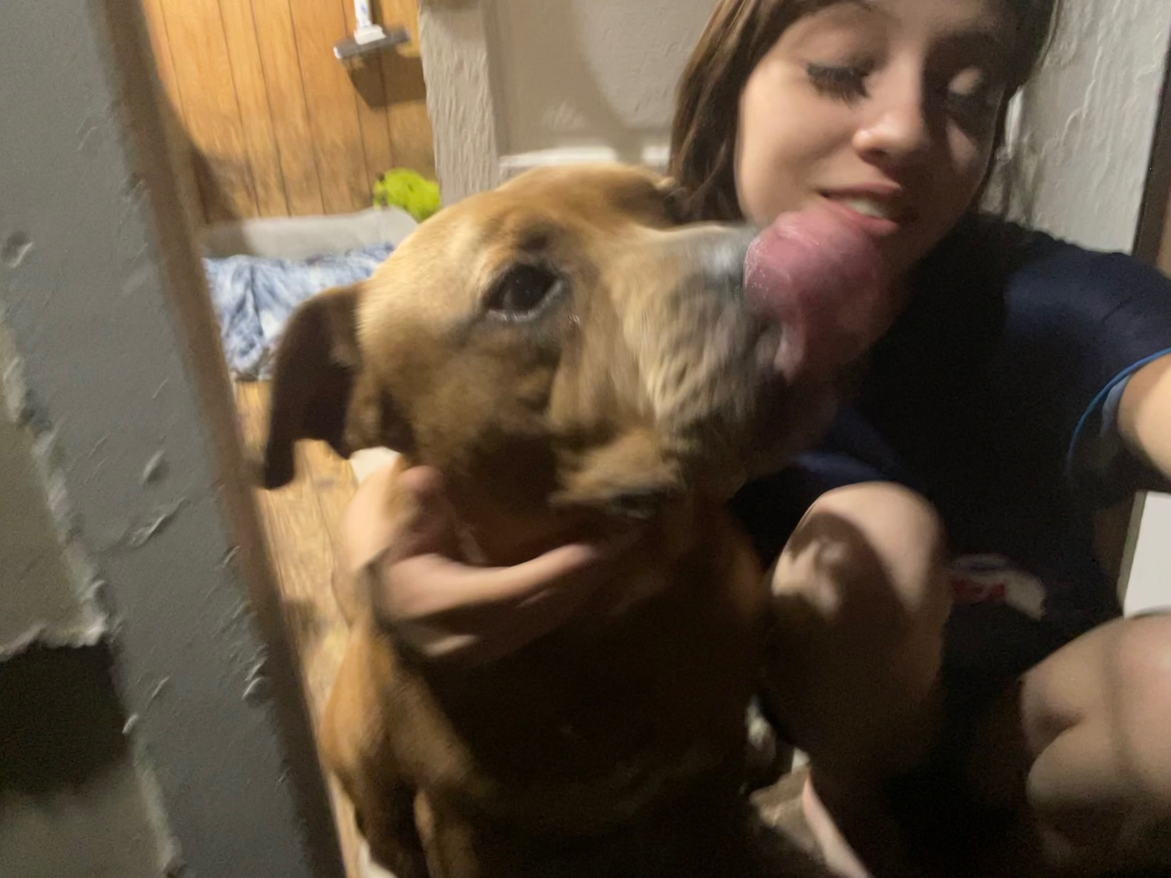 Help Ace Beat Heartworms: Urgent Treatment Needed campaign photo, 5 of 8