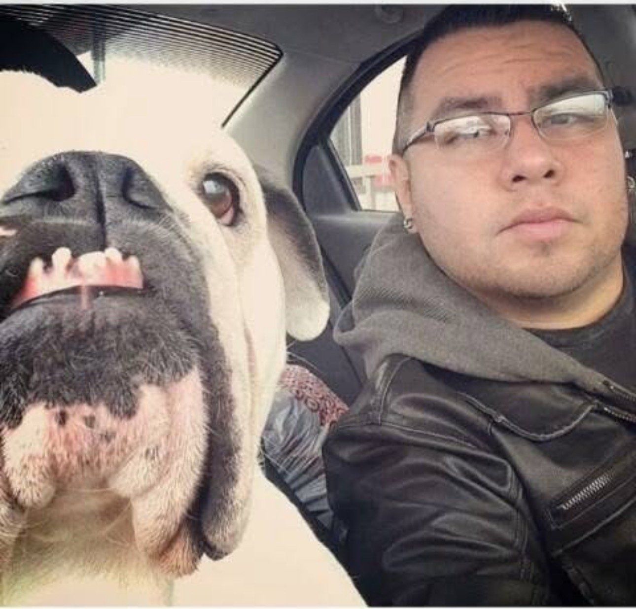 User-uploaded image 1