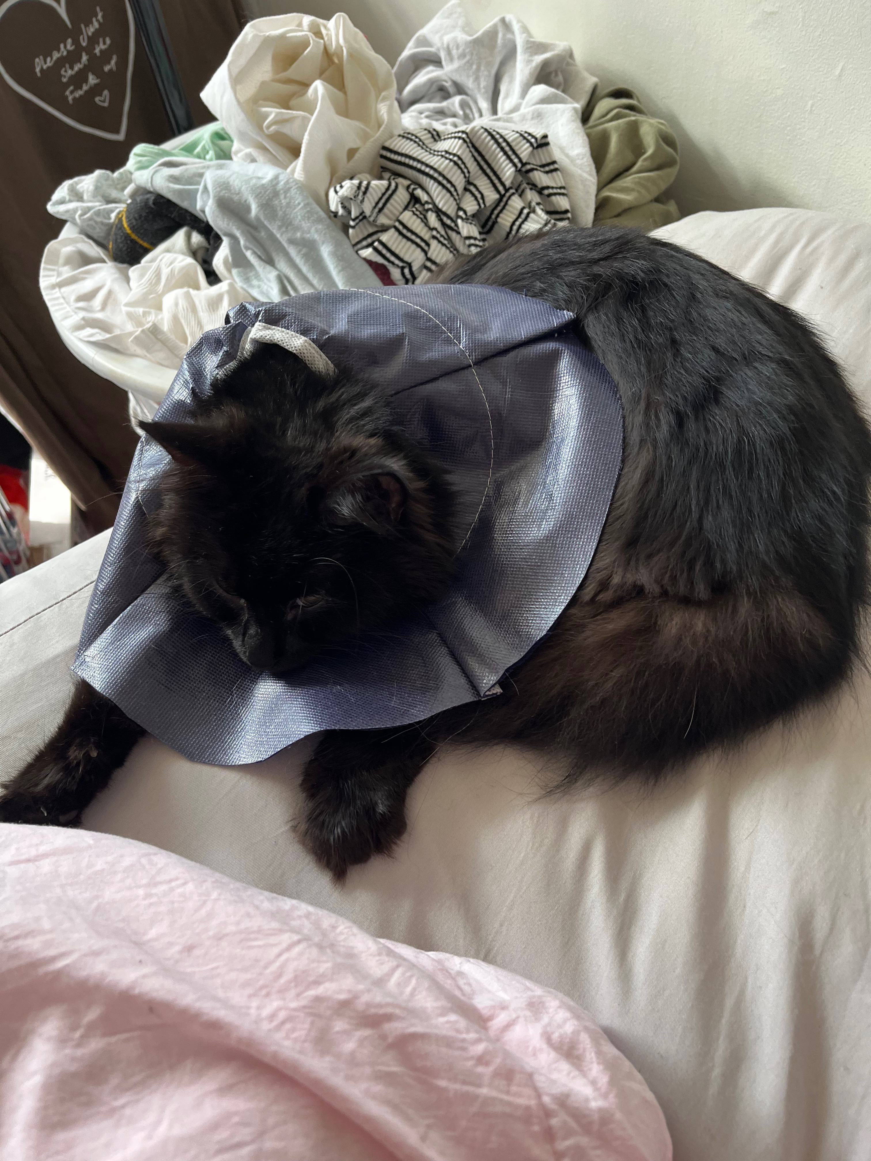 Help enya, UPDATED CONDITION campaign photo, 5 of 7