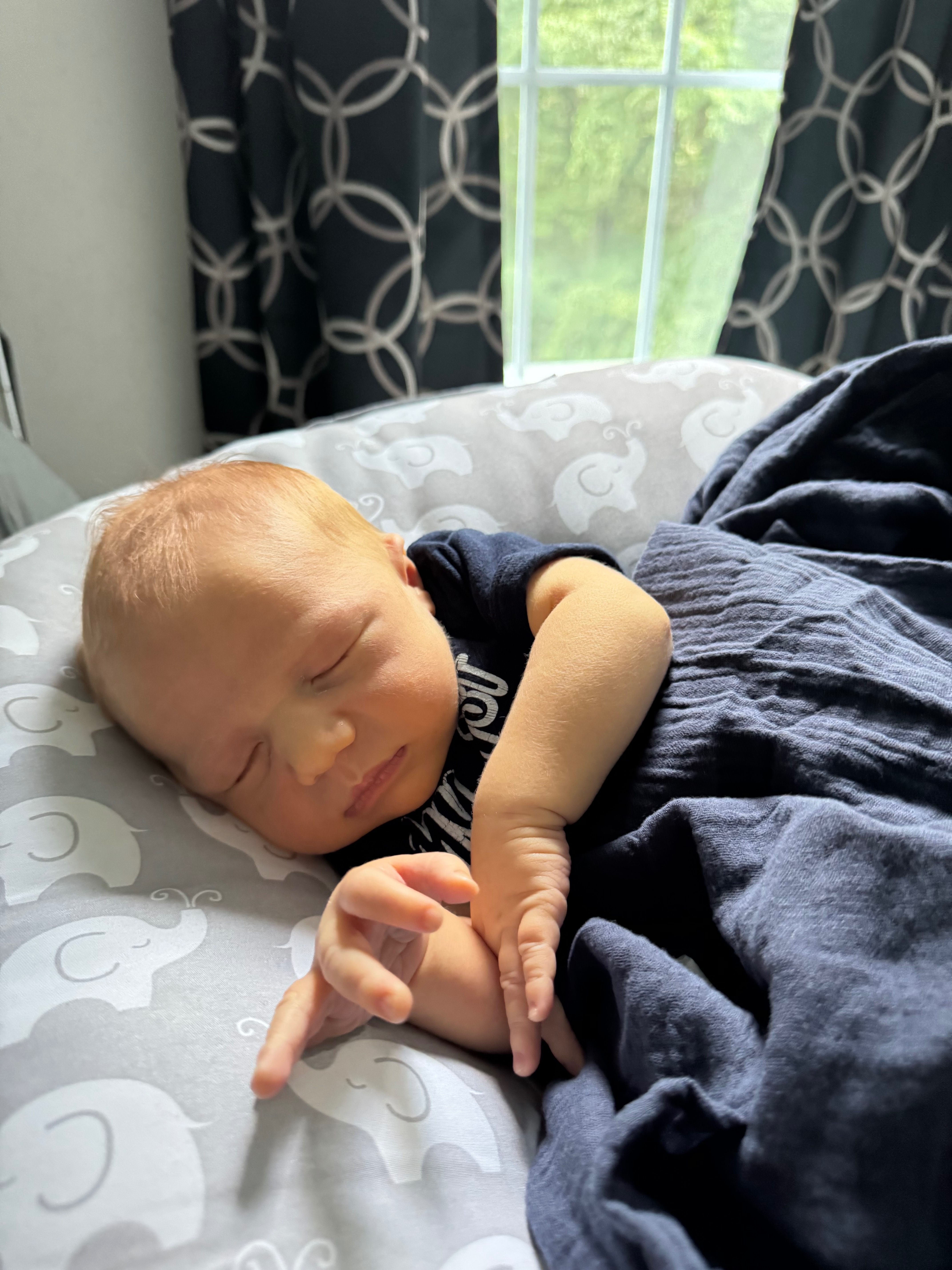 User-uploaded image 1