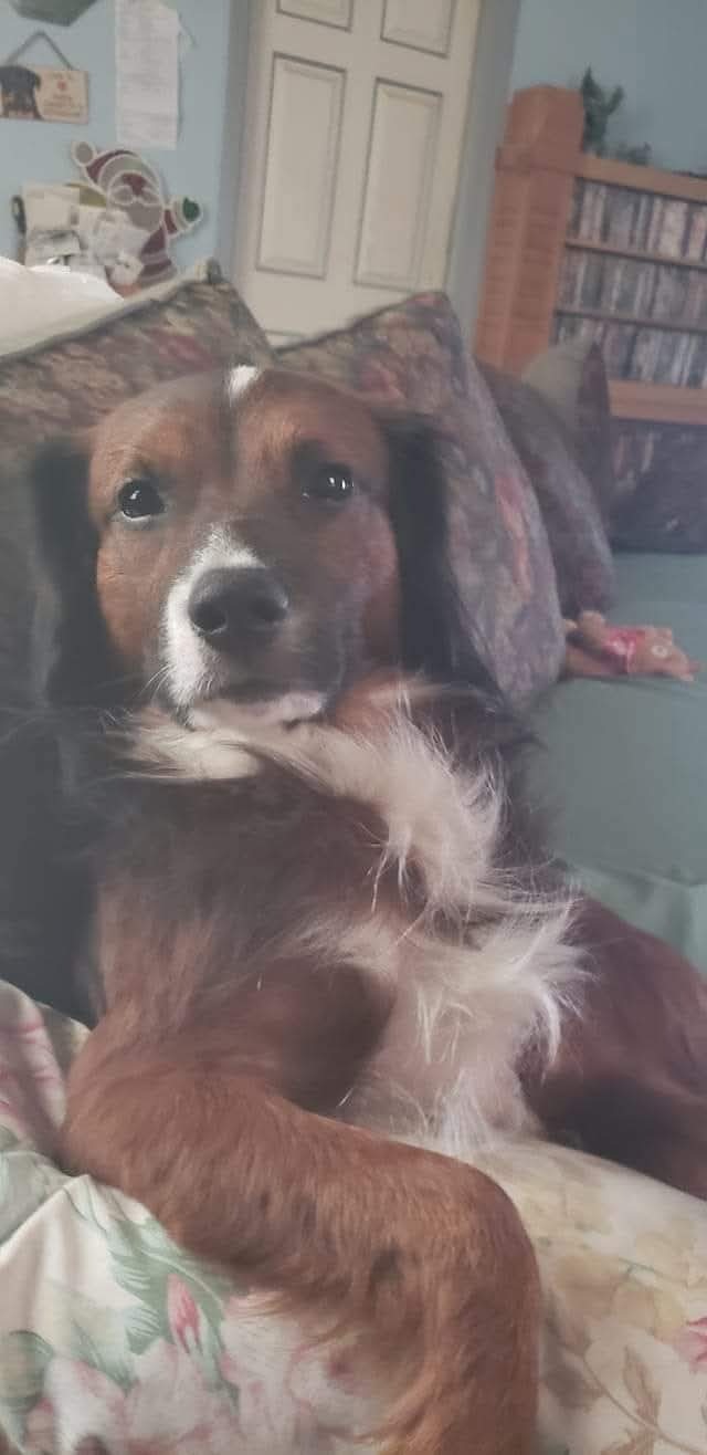 Help Tanner Get Life-Saving Surgery campaign photo, 5 of 6