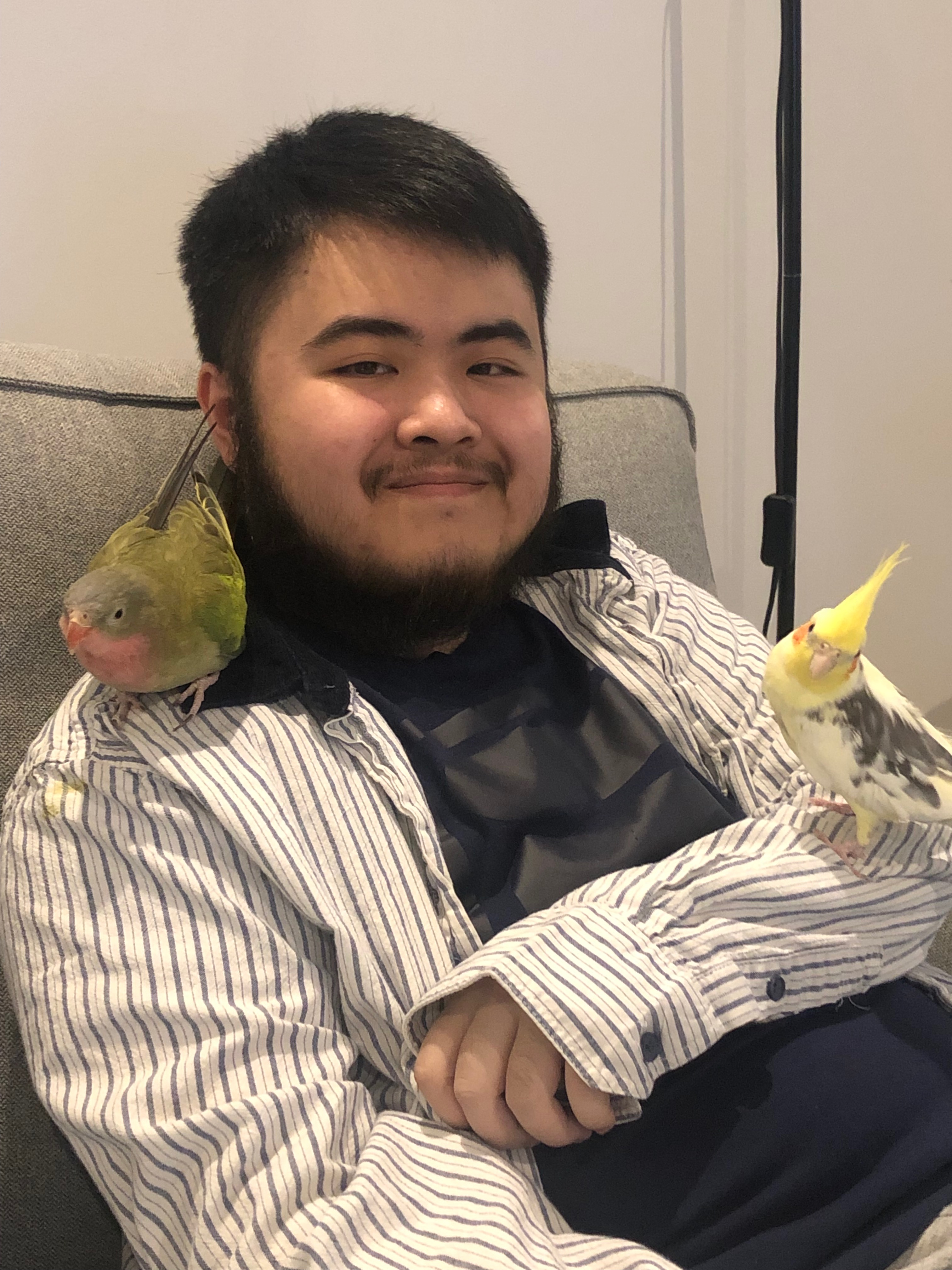 User-uploaded image 1