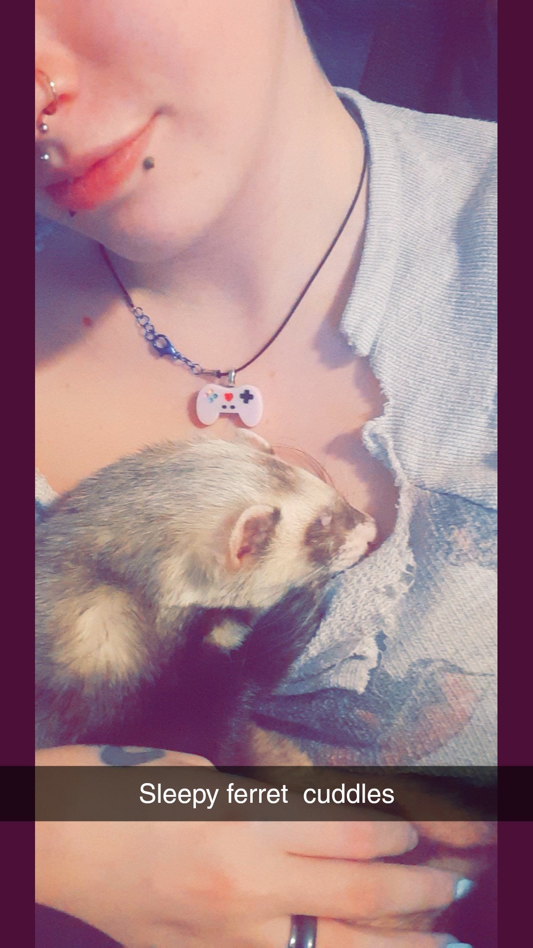 Help get Rocket to the Vet campaign photo, 2 of 5