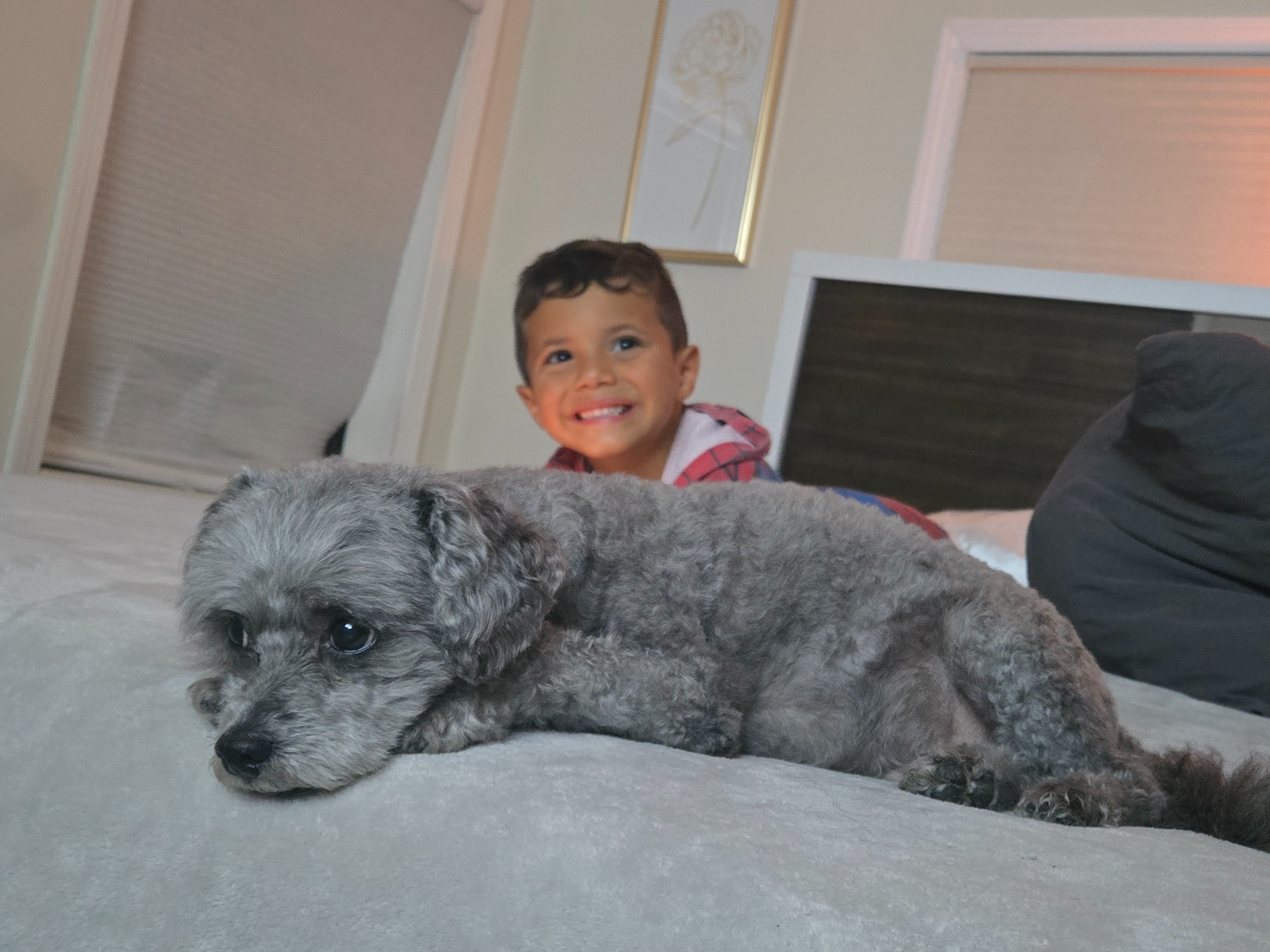 Help Baby Bear Fight Cancer campaign photo, 2 of 8
