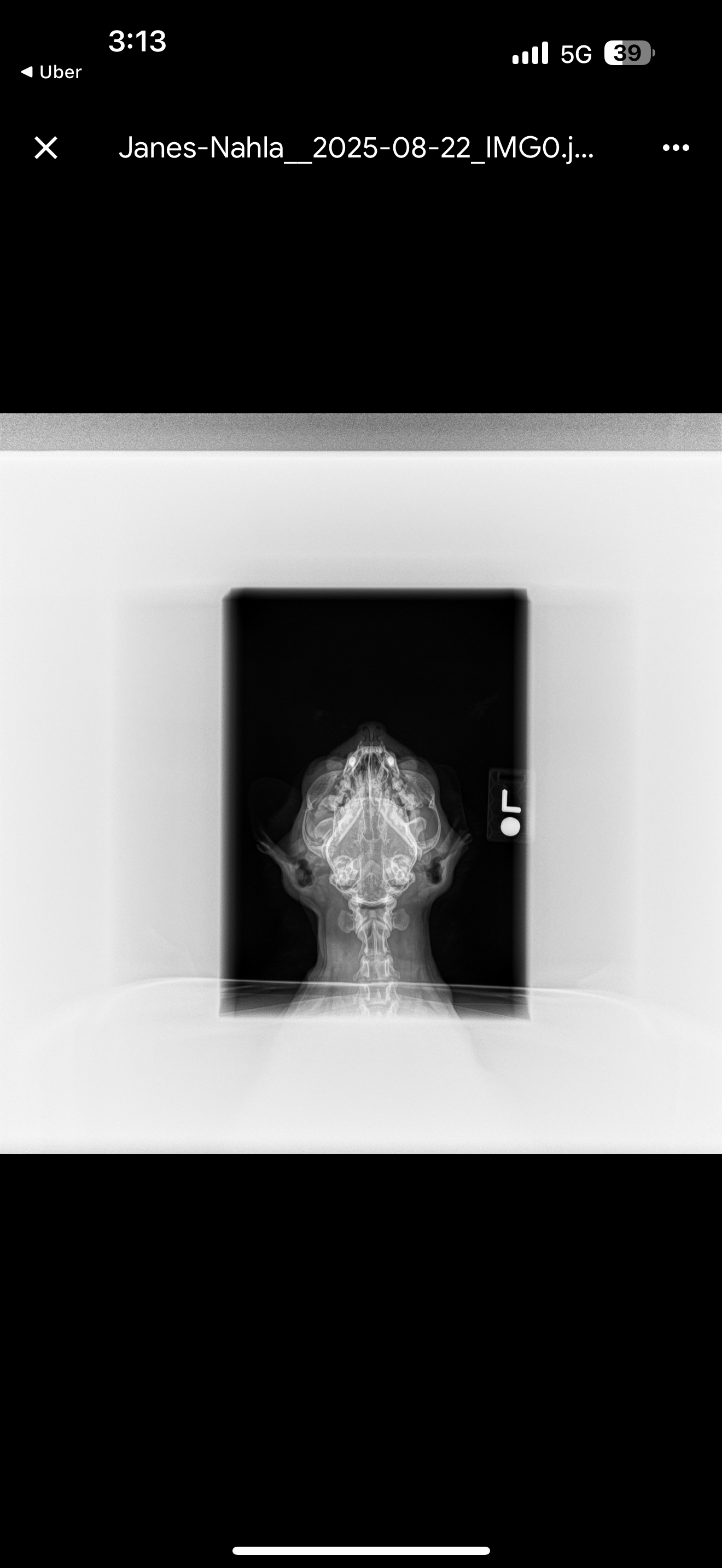 Nahla’s surgery campaign photo, 5 of 8