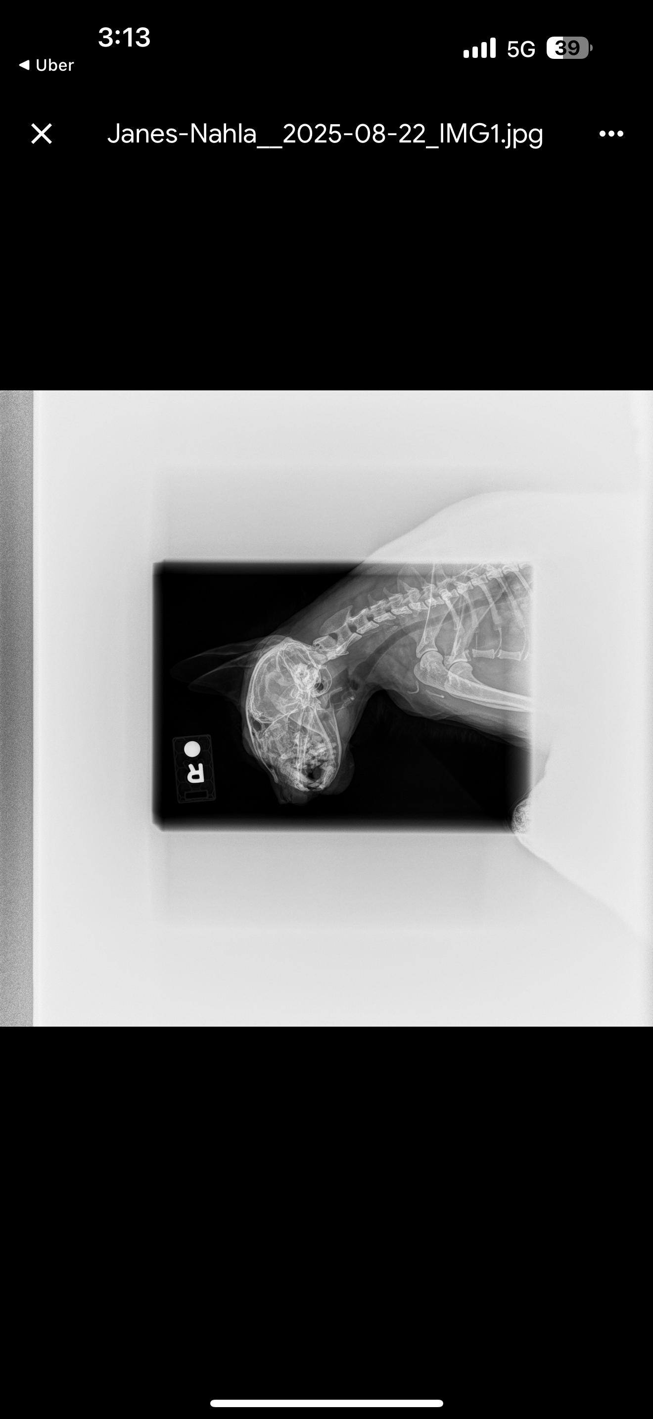 Nahla’s surgery campaign photo, 2 of 8